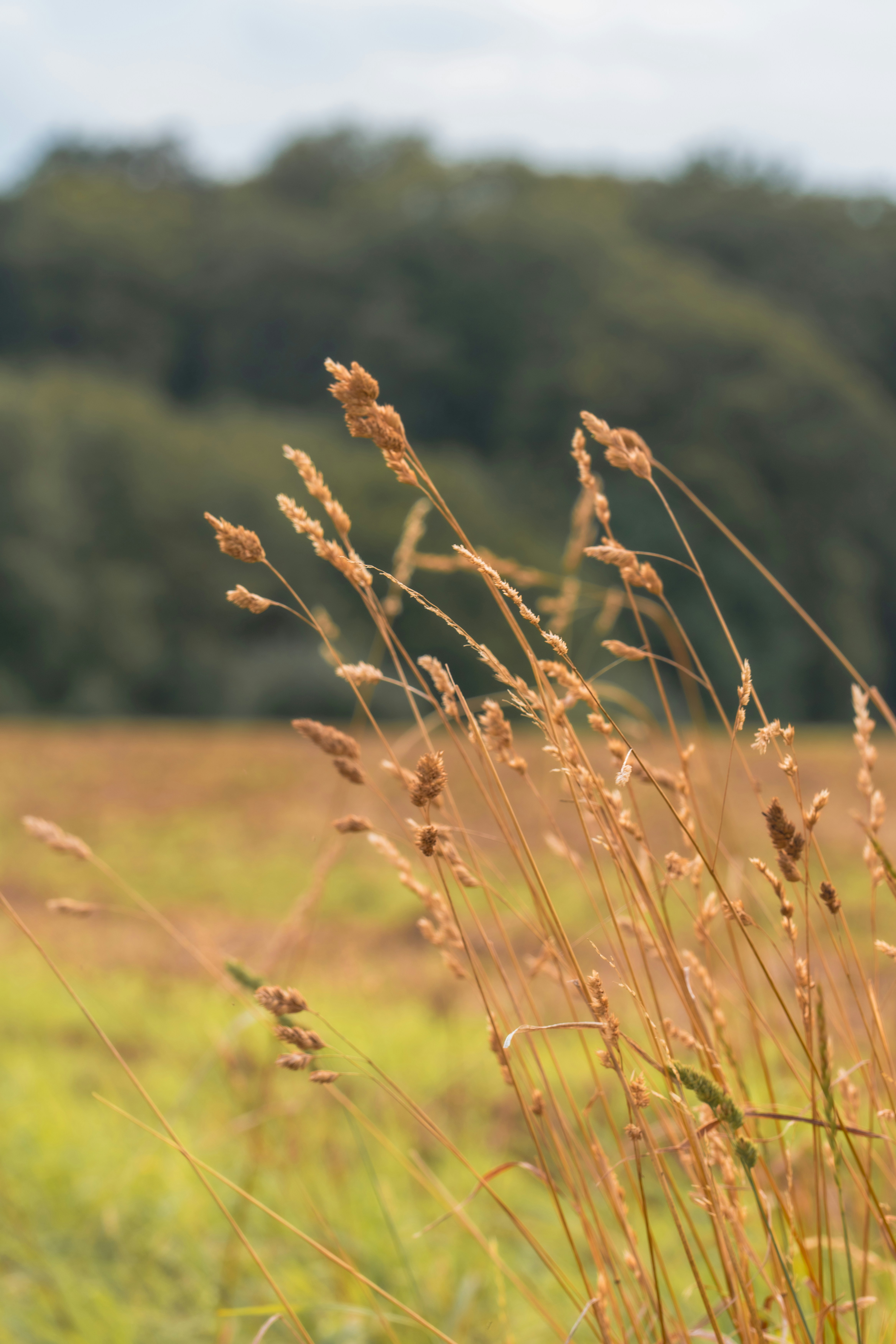 Photo by robertschwarz