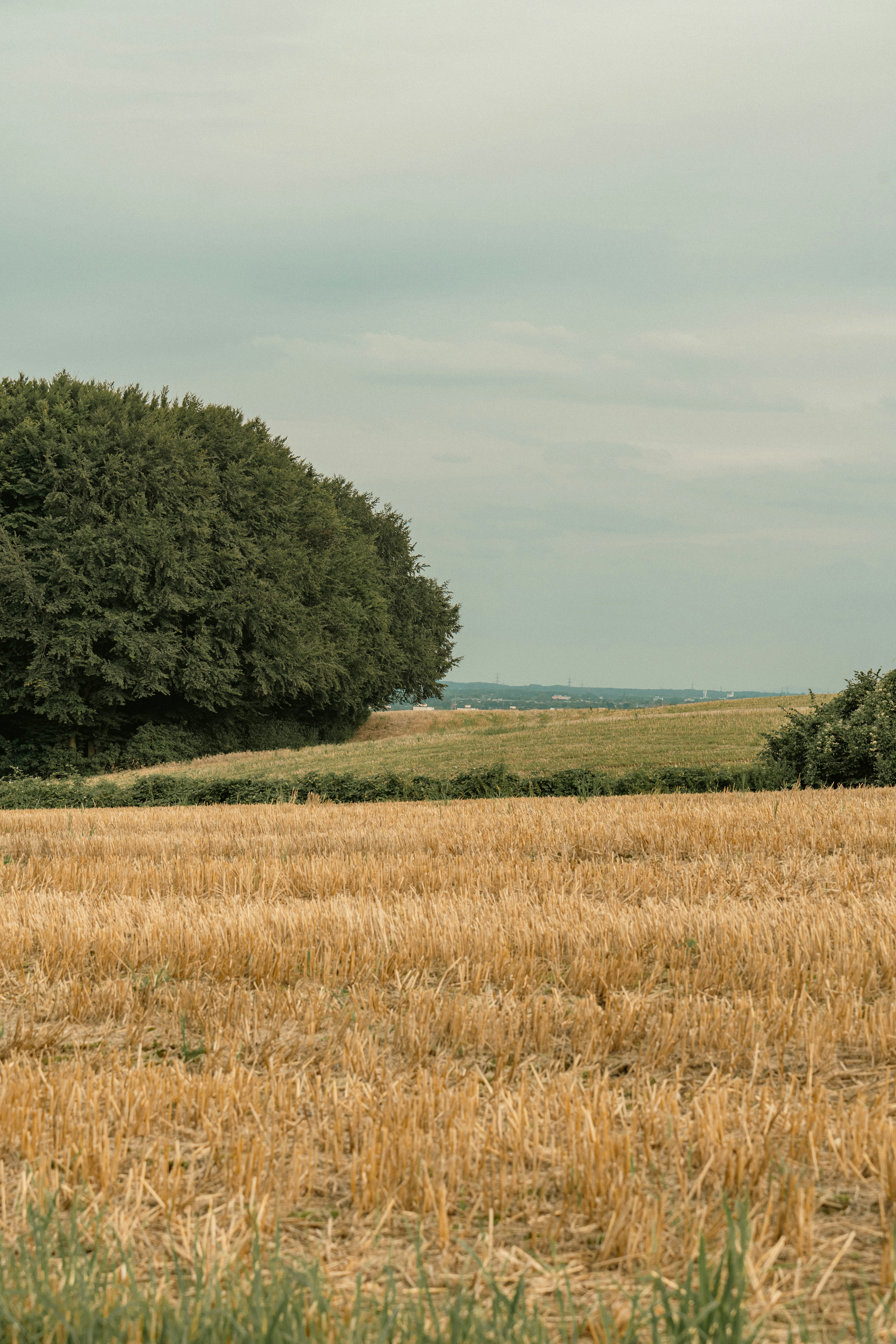 Photo by robertschwarz