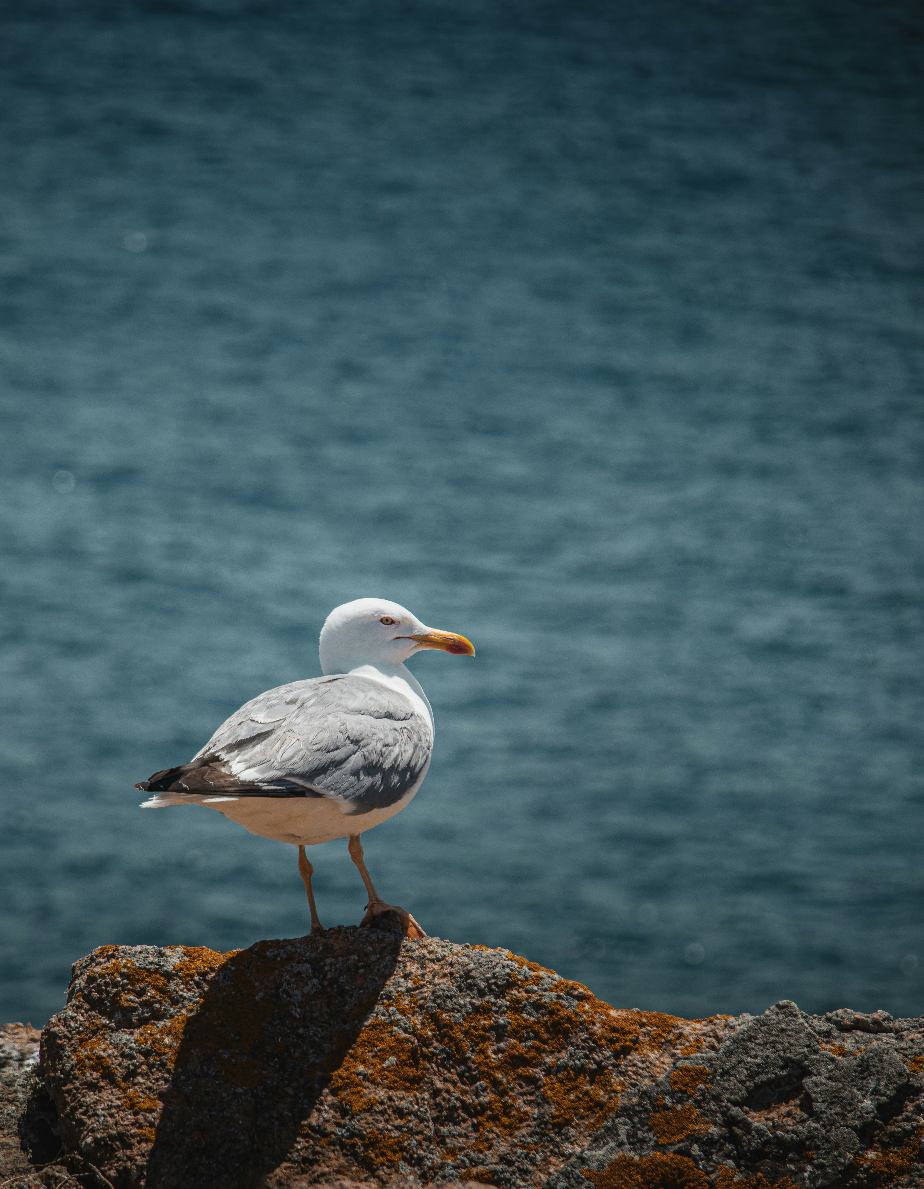 Photo by patrycja_chociej