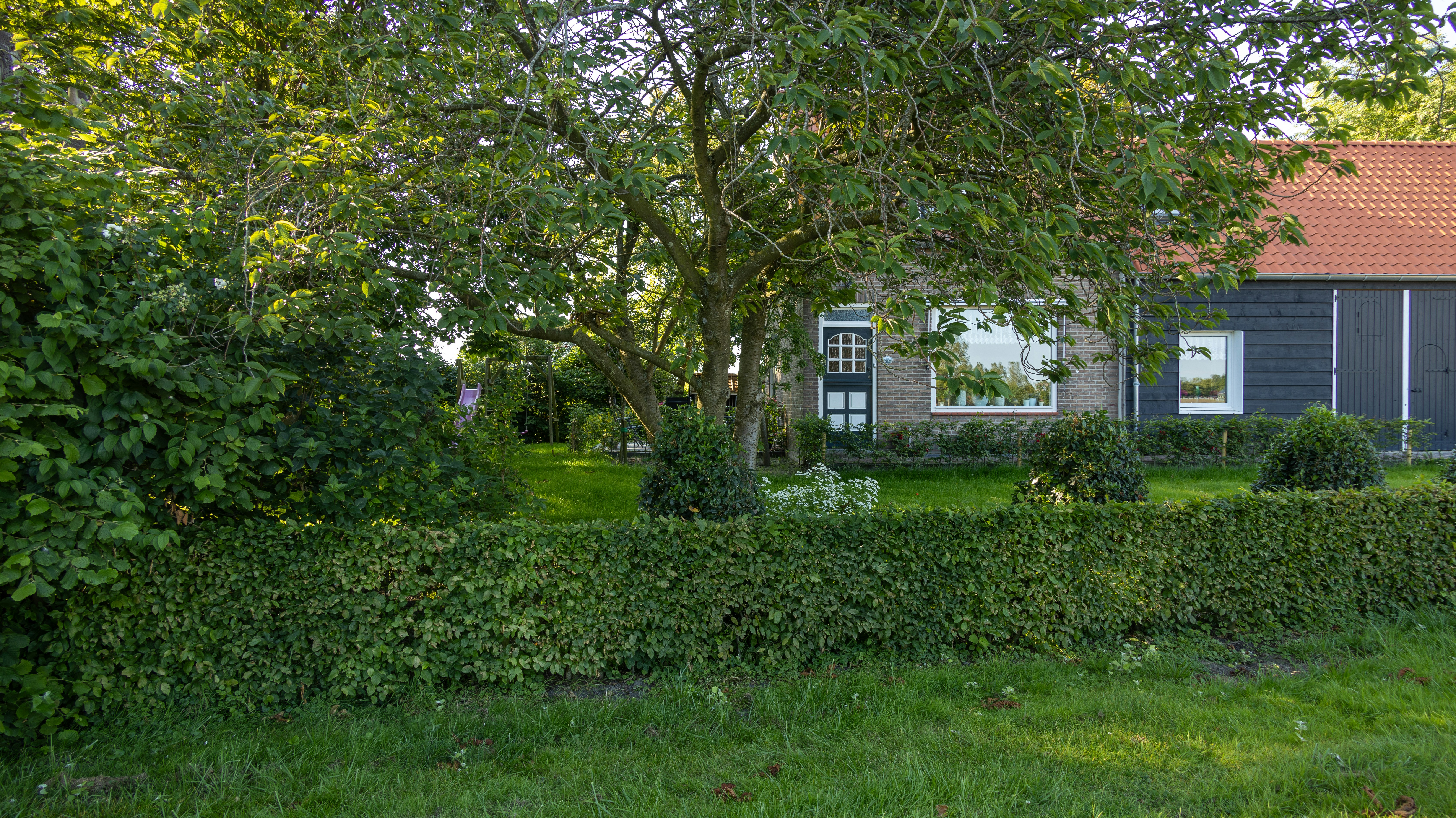 A house in the middle of a lush green yard