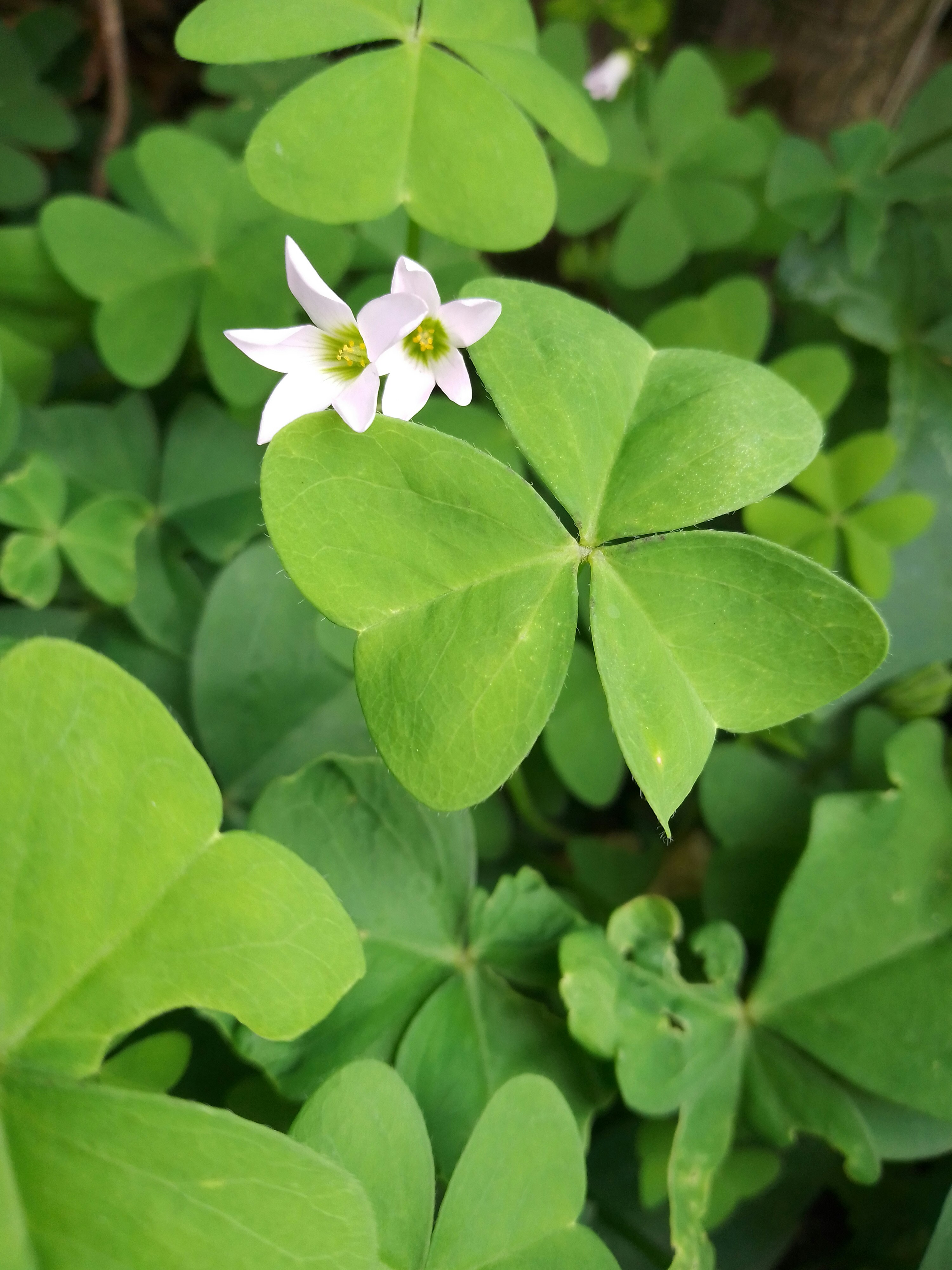 Photo by pension2020