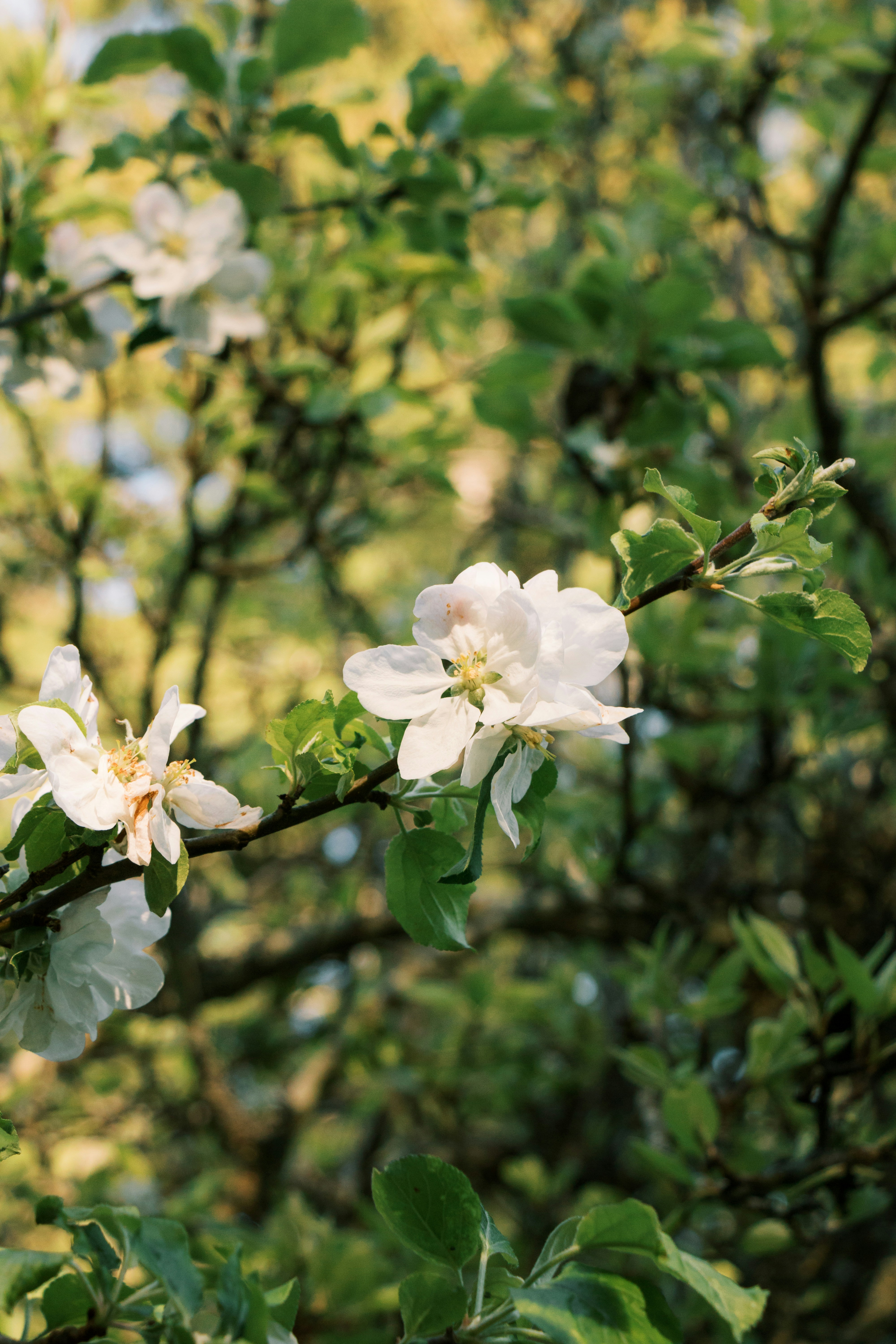 Photo by eleanorefiore