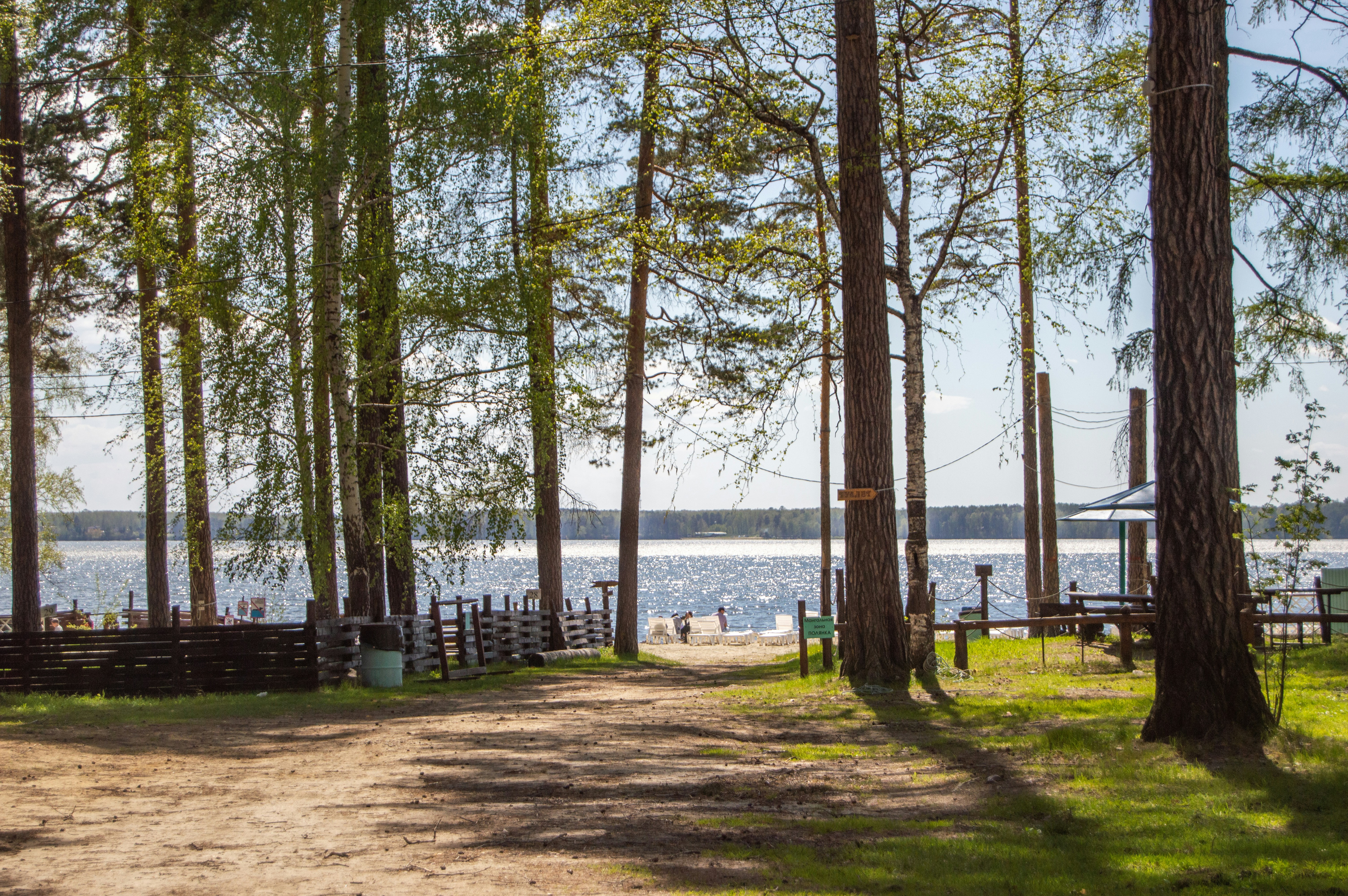 Photo by frosted_vulpes_ferrilata