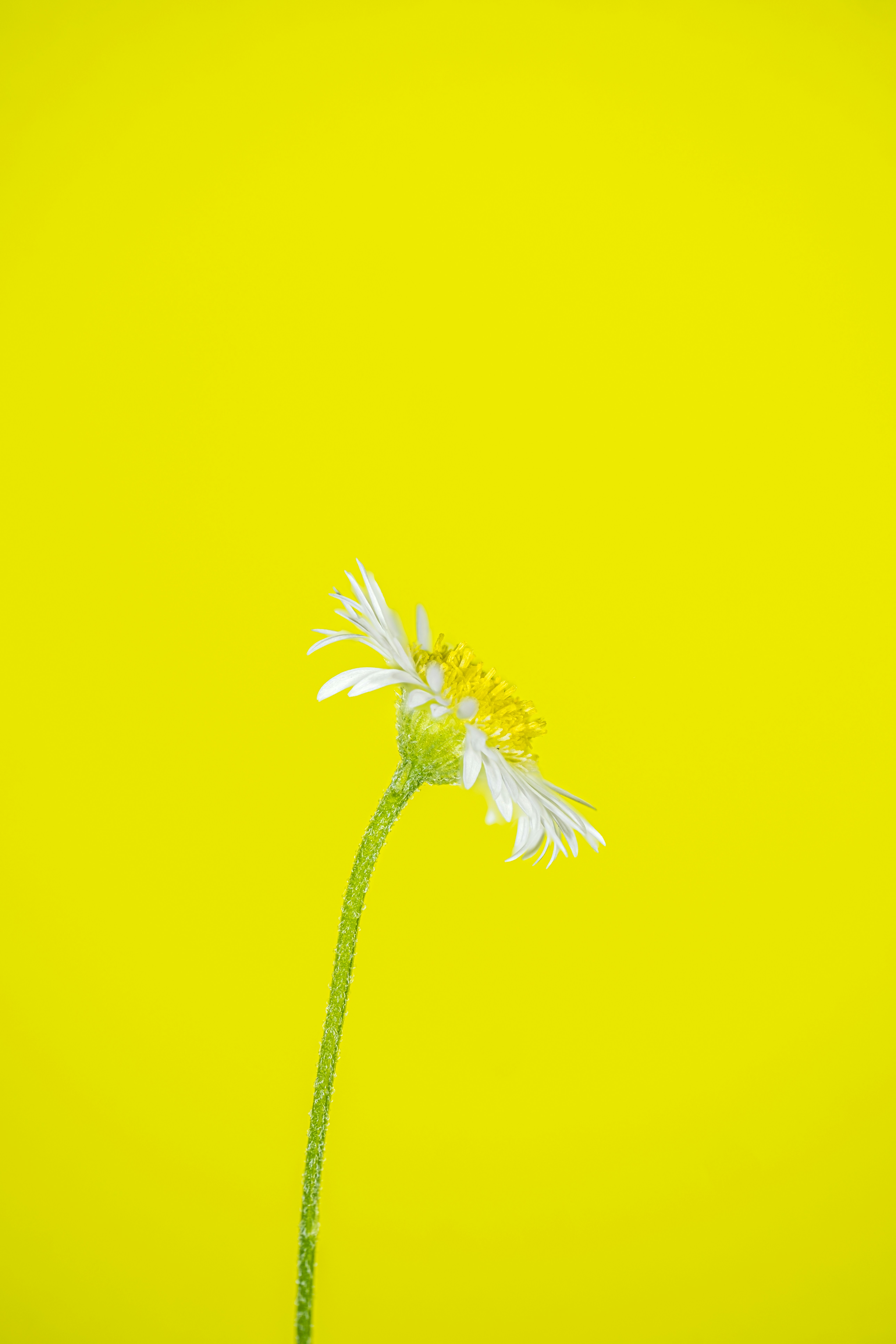 Photo by alexandredaoust