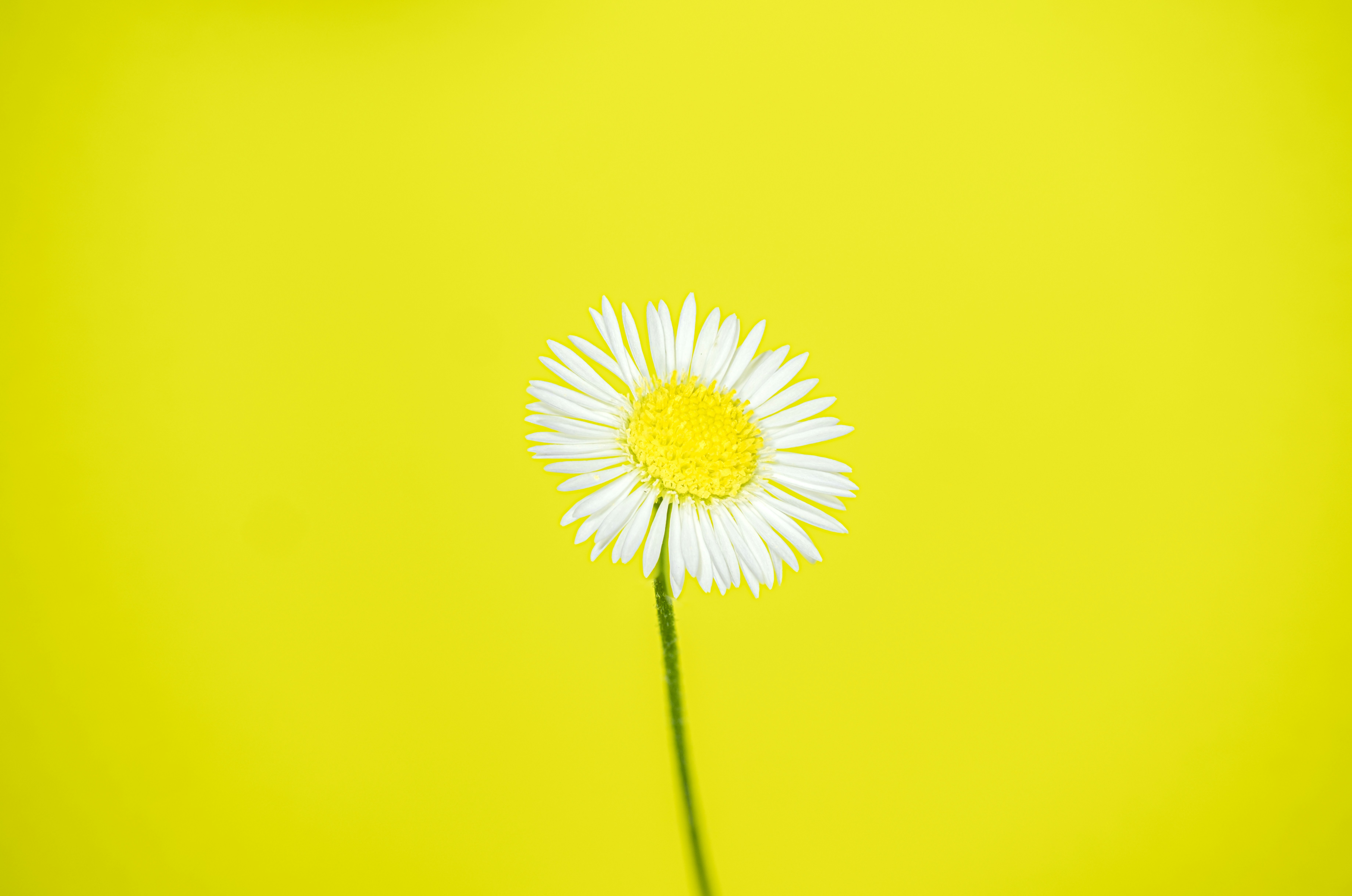 Photo by alexandredaoust