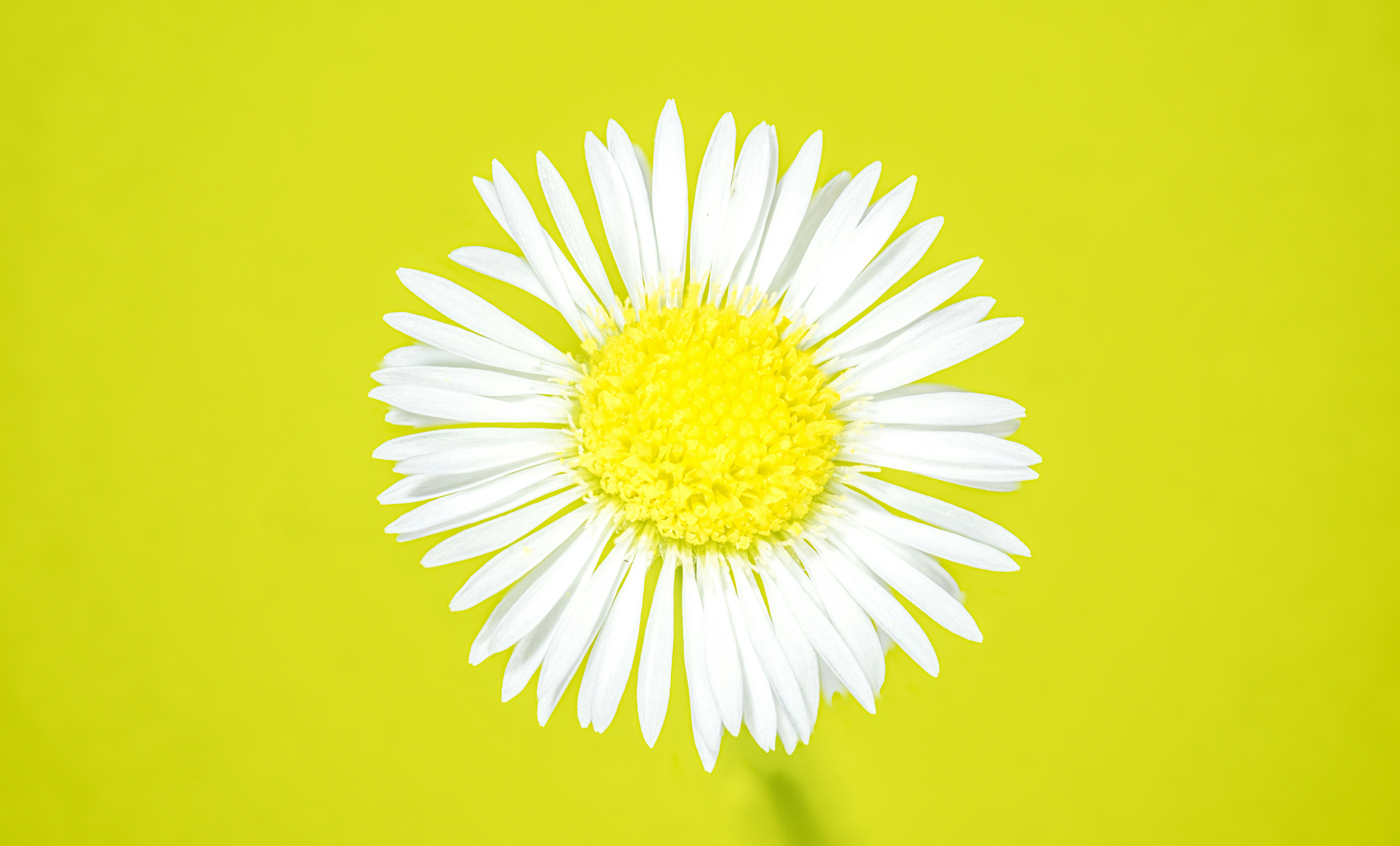 Photo by alexandredaoust