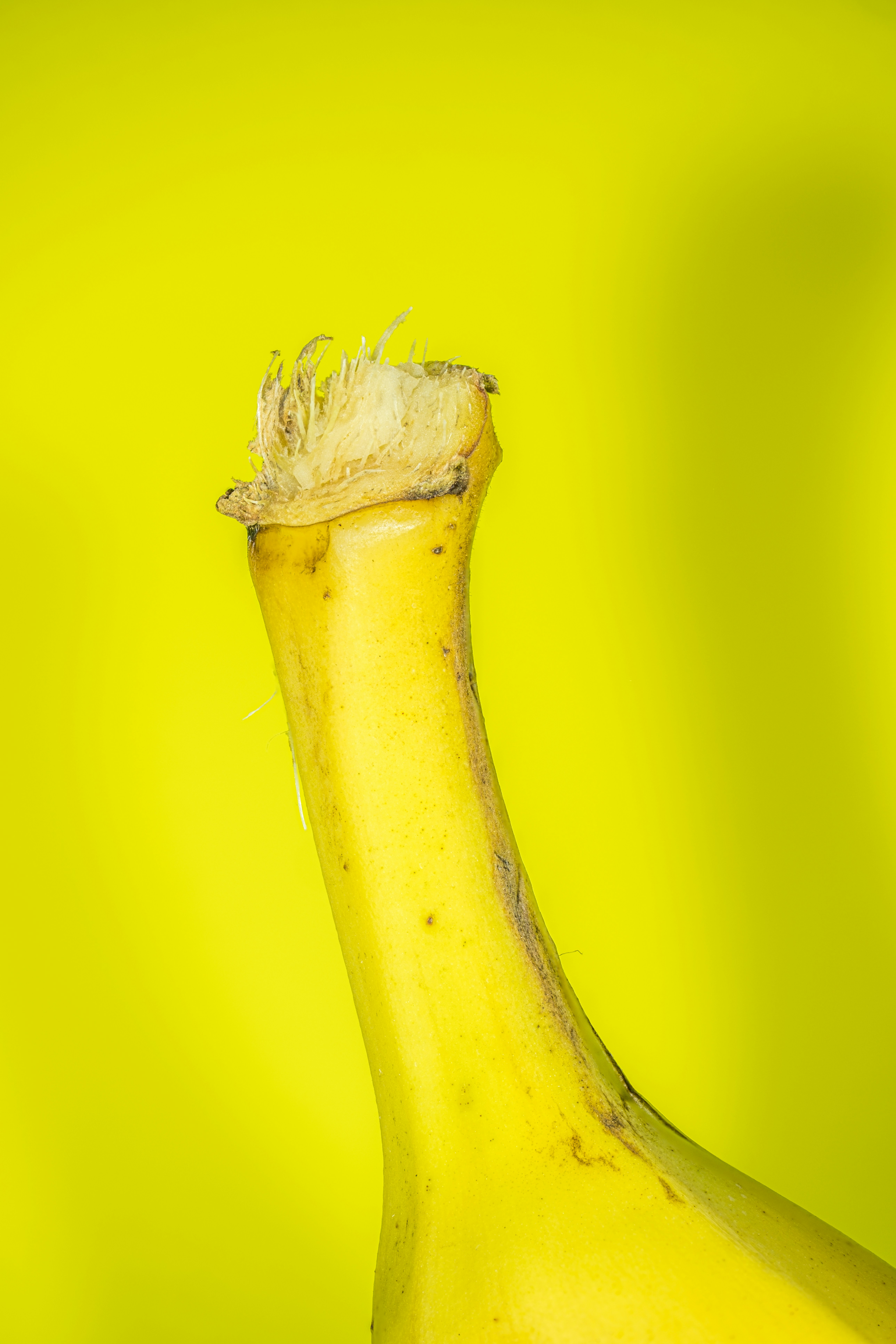 Photo by alexandredaoust