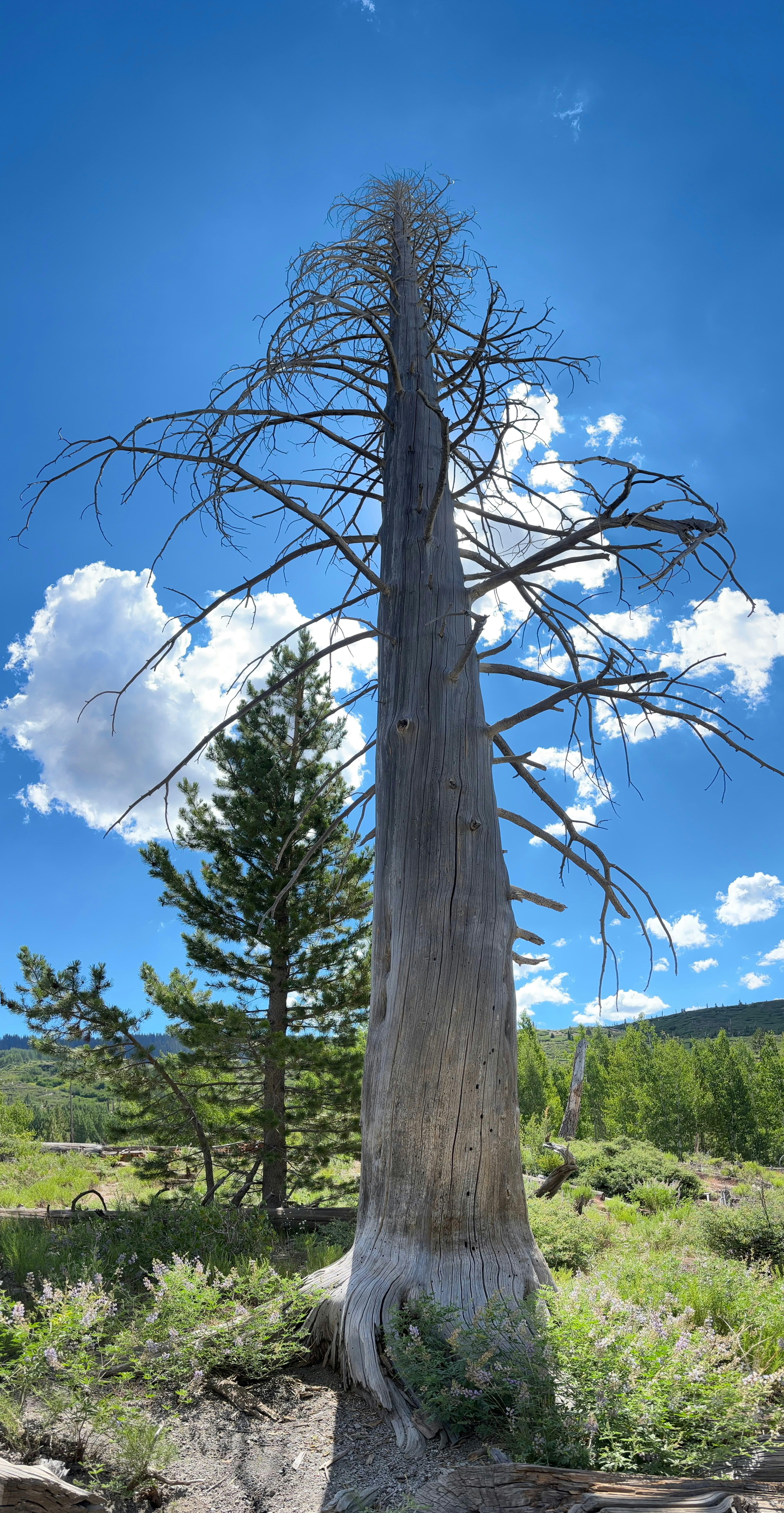 Photo by bliss4corinne