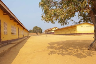 A yellow building with a tree in front of it