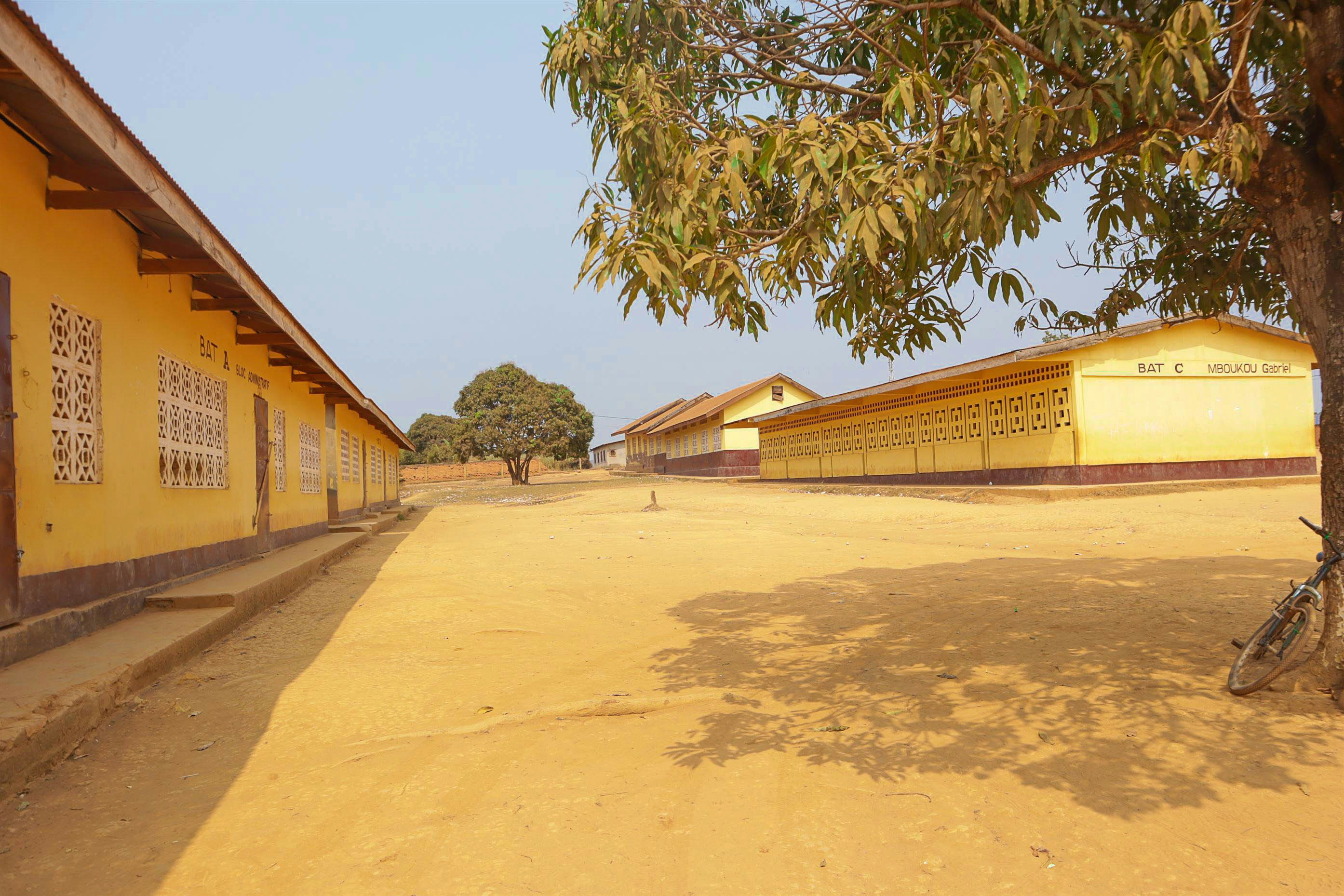 A yellow building with a tree in front of it