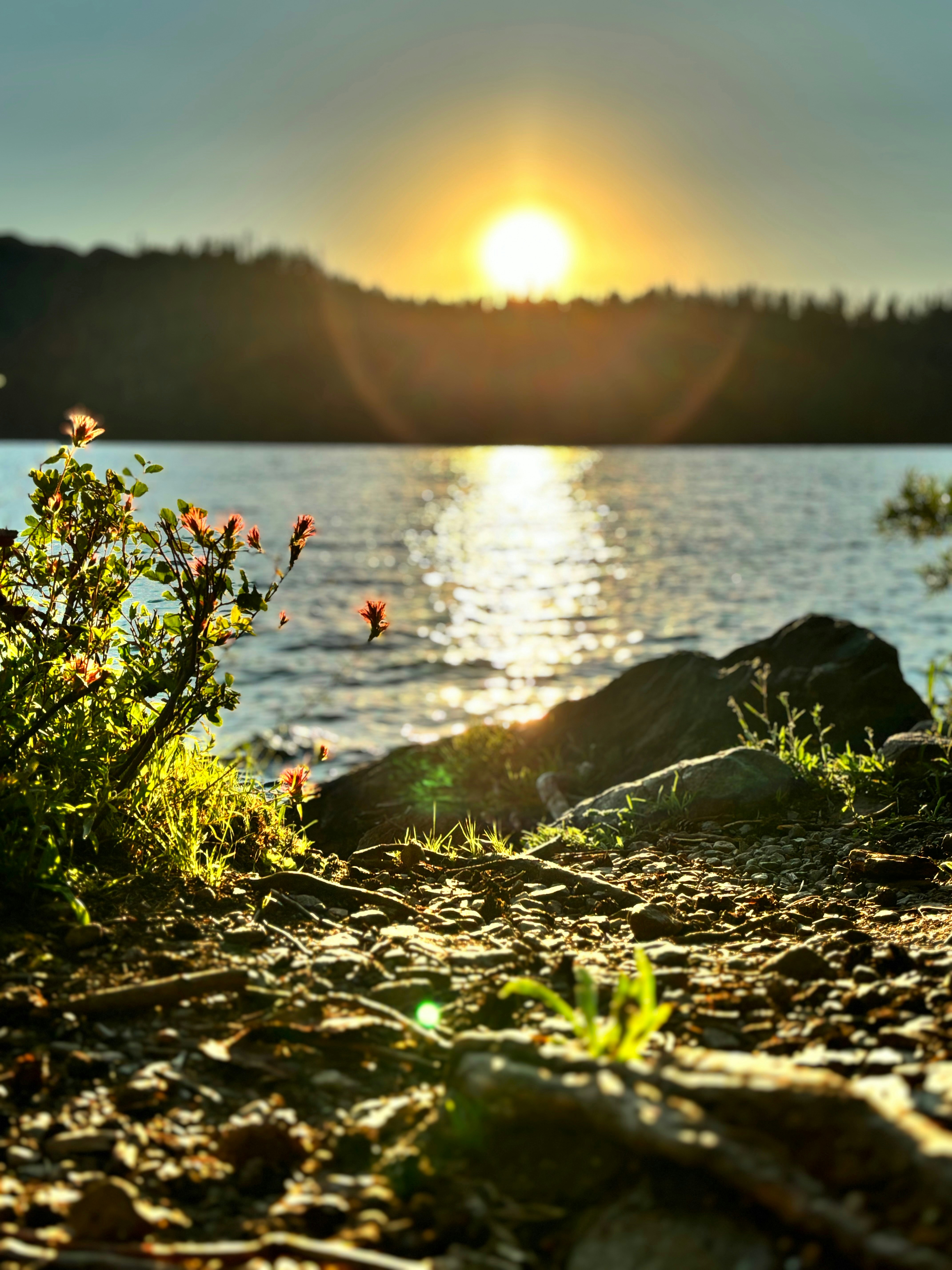 Photo by bliss4corinne