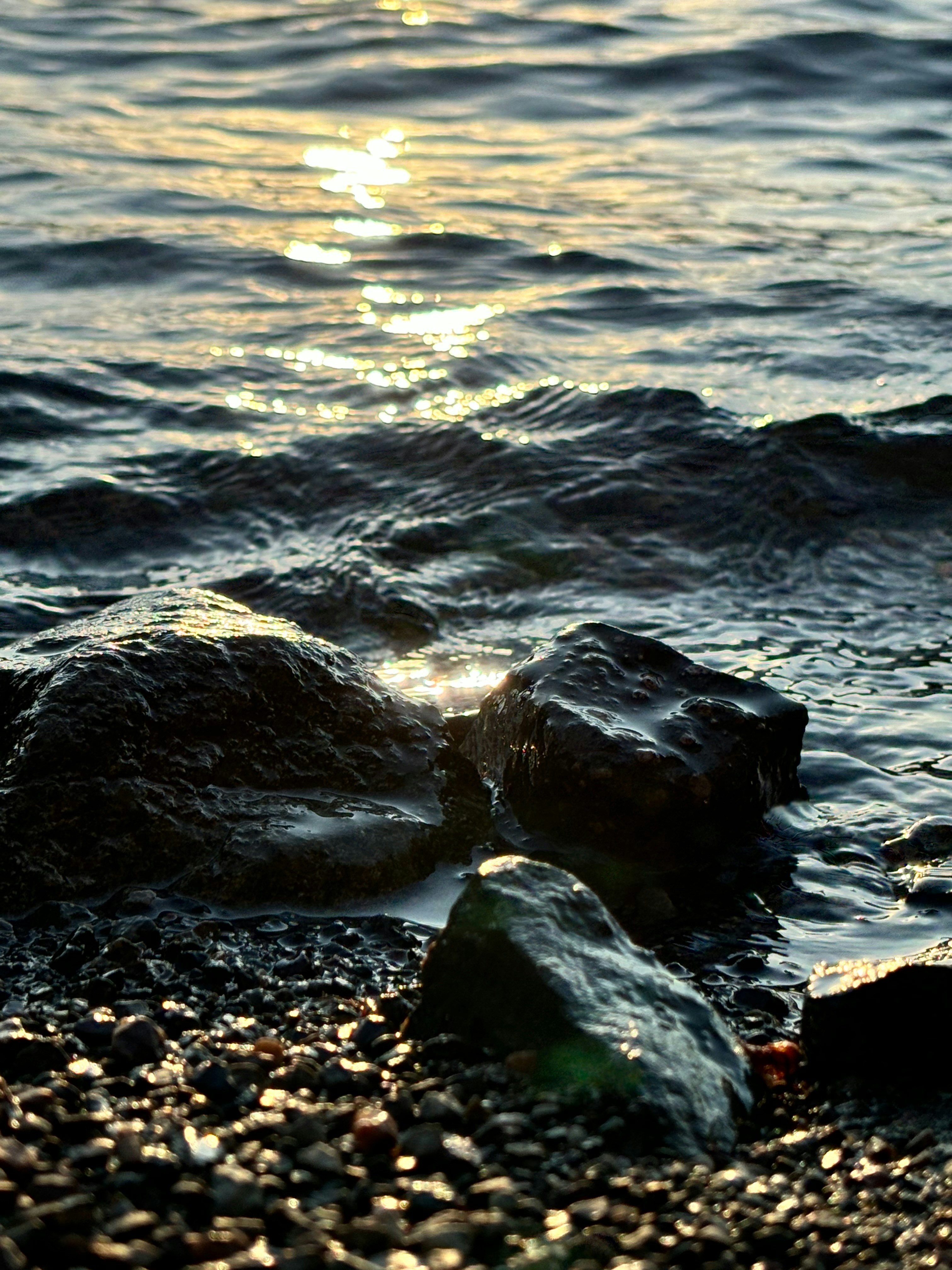 Photo by bliss4corinne