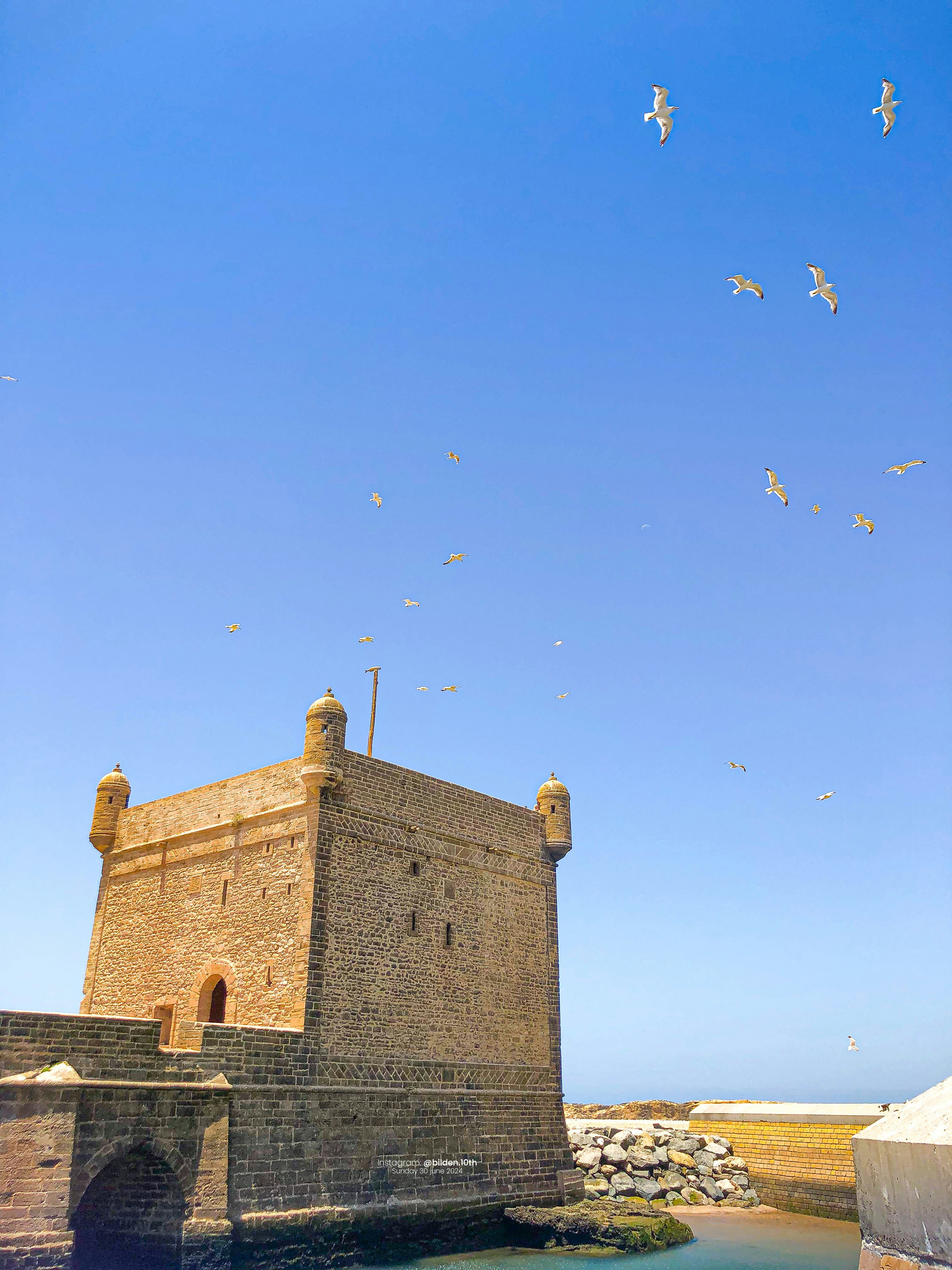 Seagulls flying over a tower in the middle of a body of water
