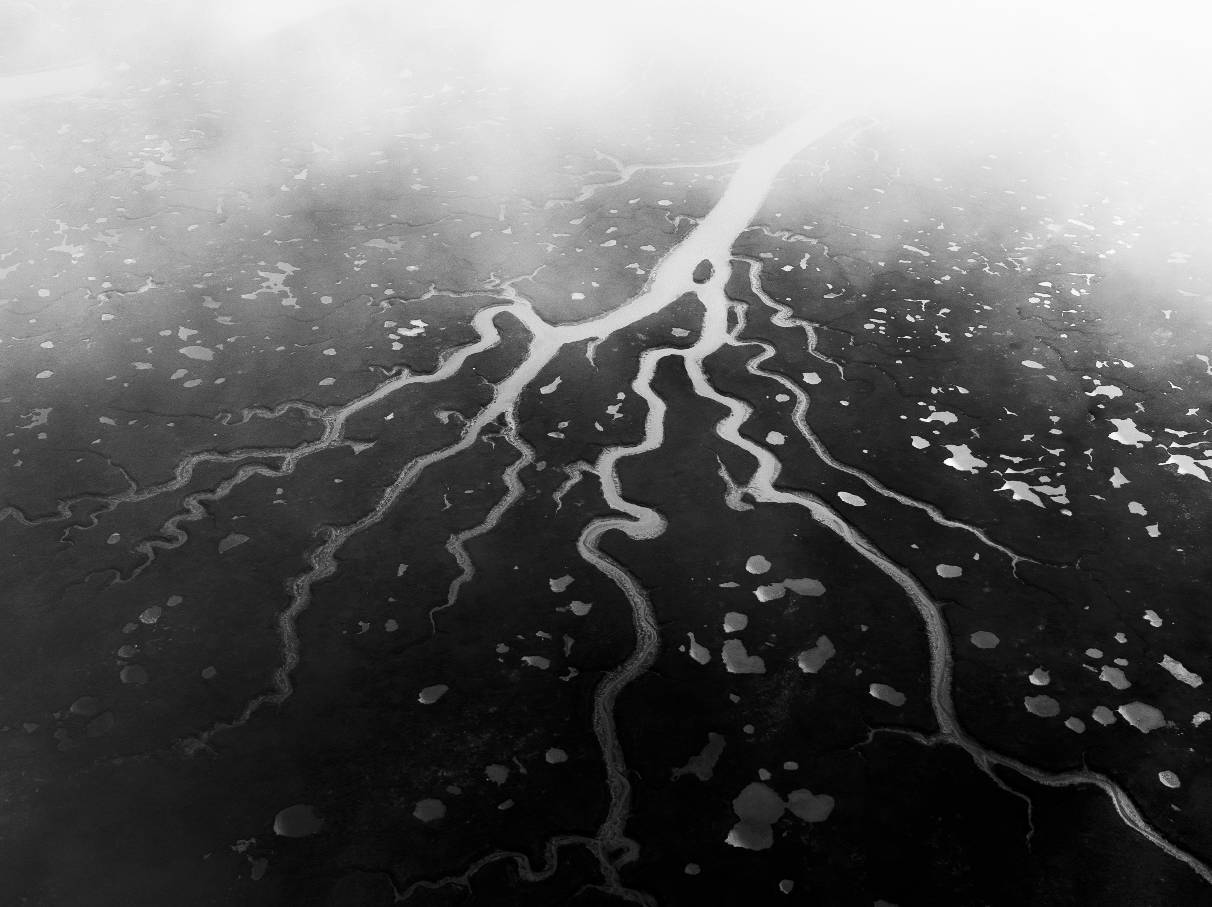 사회보험과 공공부조의 차이점은 무엇인가요?