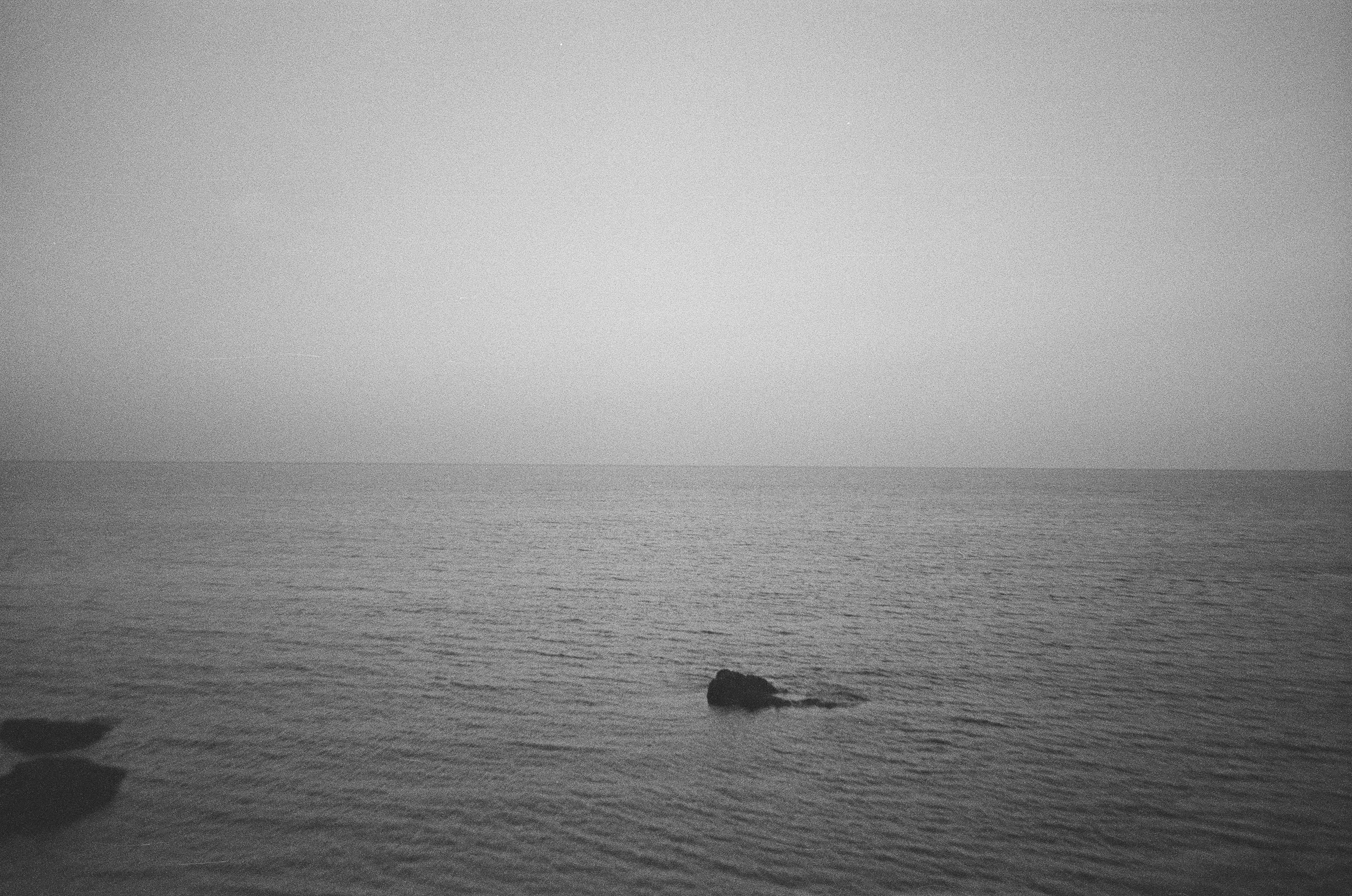 Photo by bradleyandroos