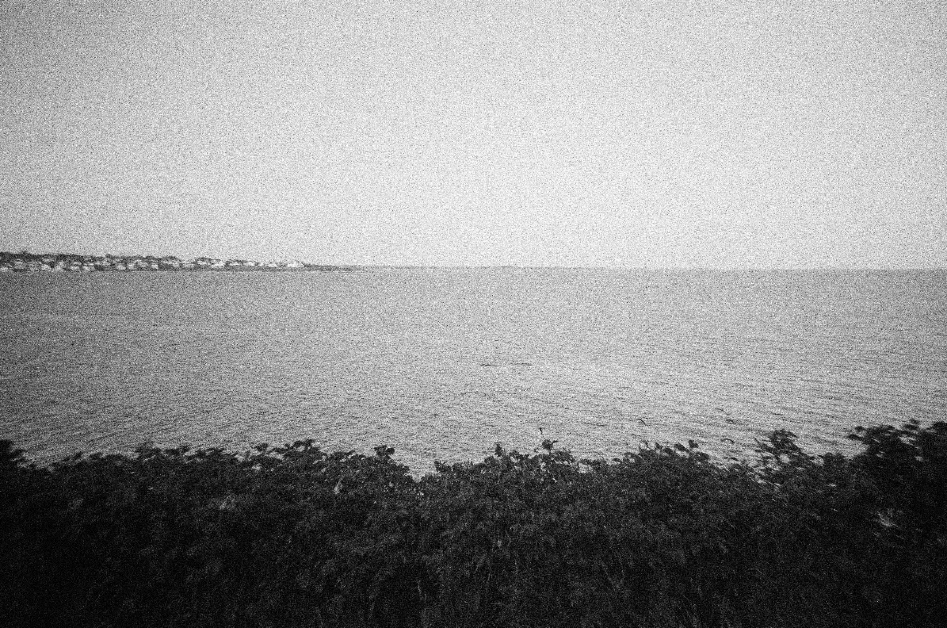 Photo by bradleyandroos