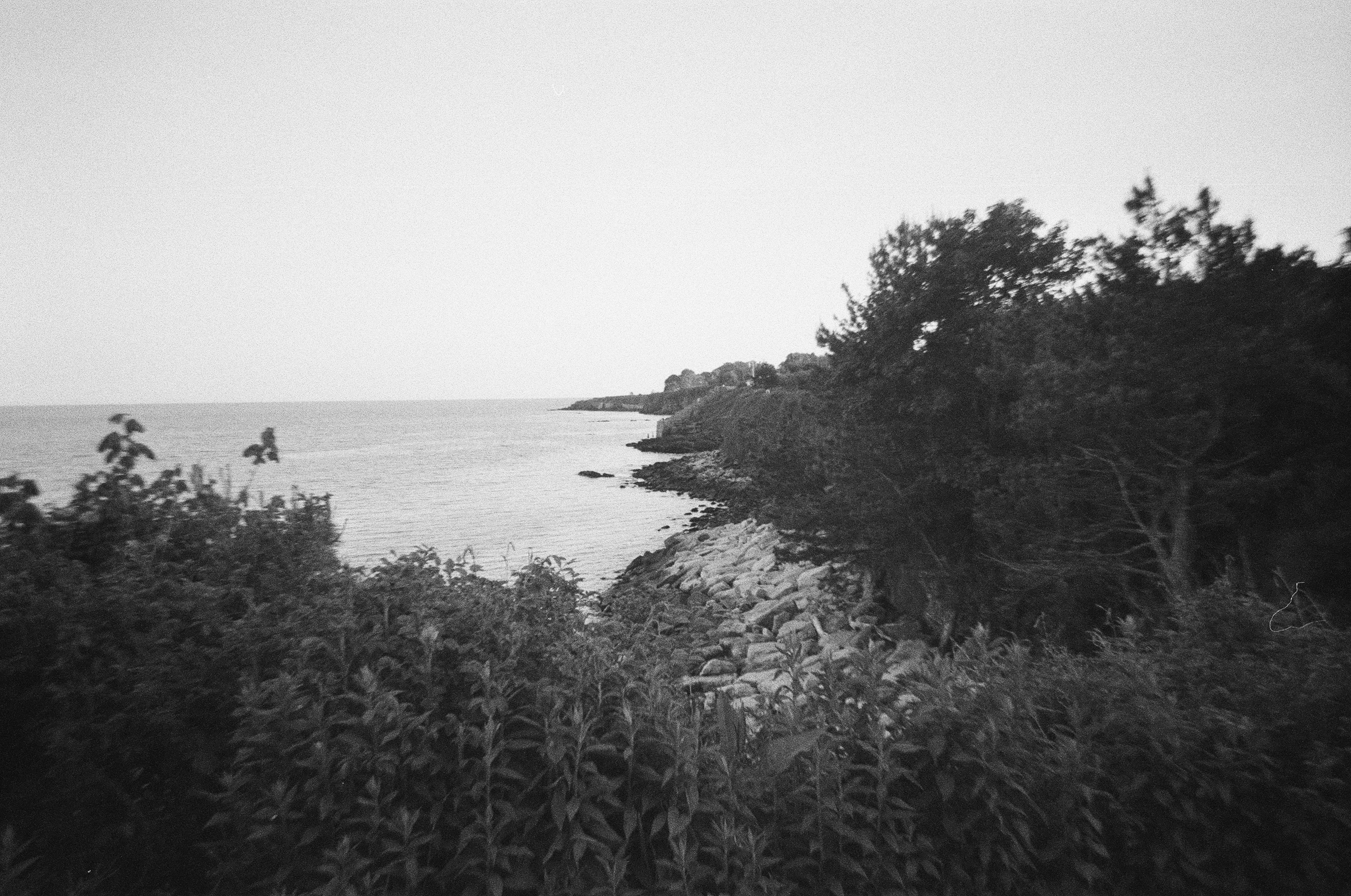 Photo by bradleyandroos