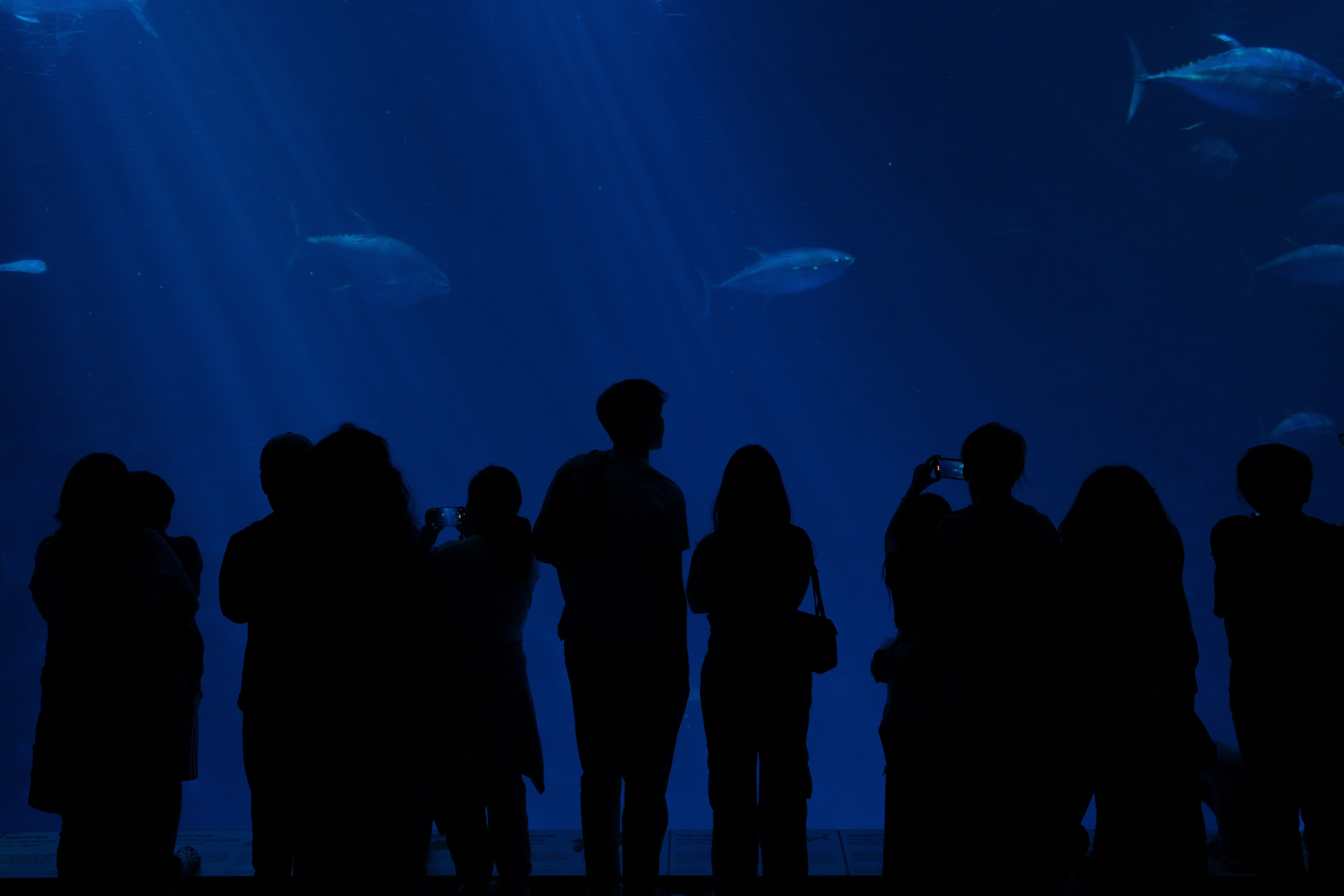 Photo by mbcarterphotography