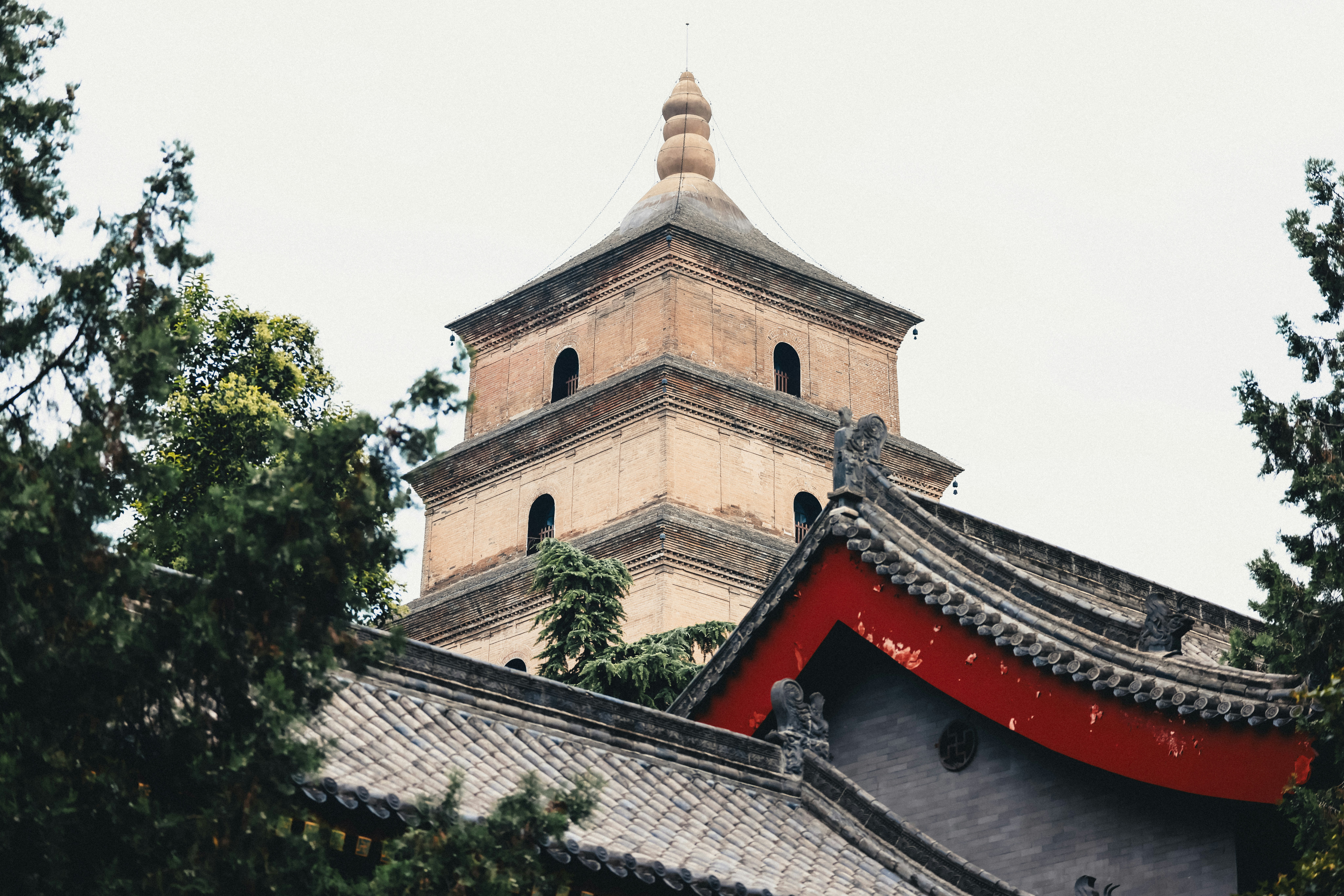 Photo by dickenslin76