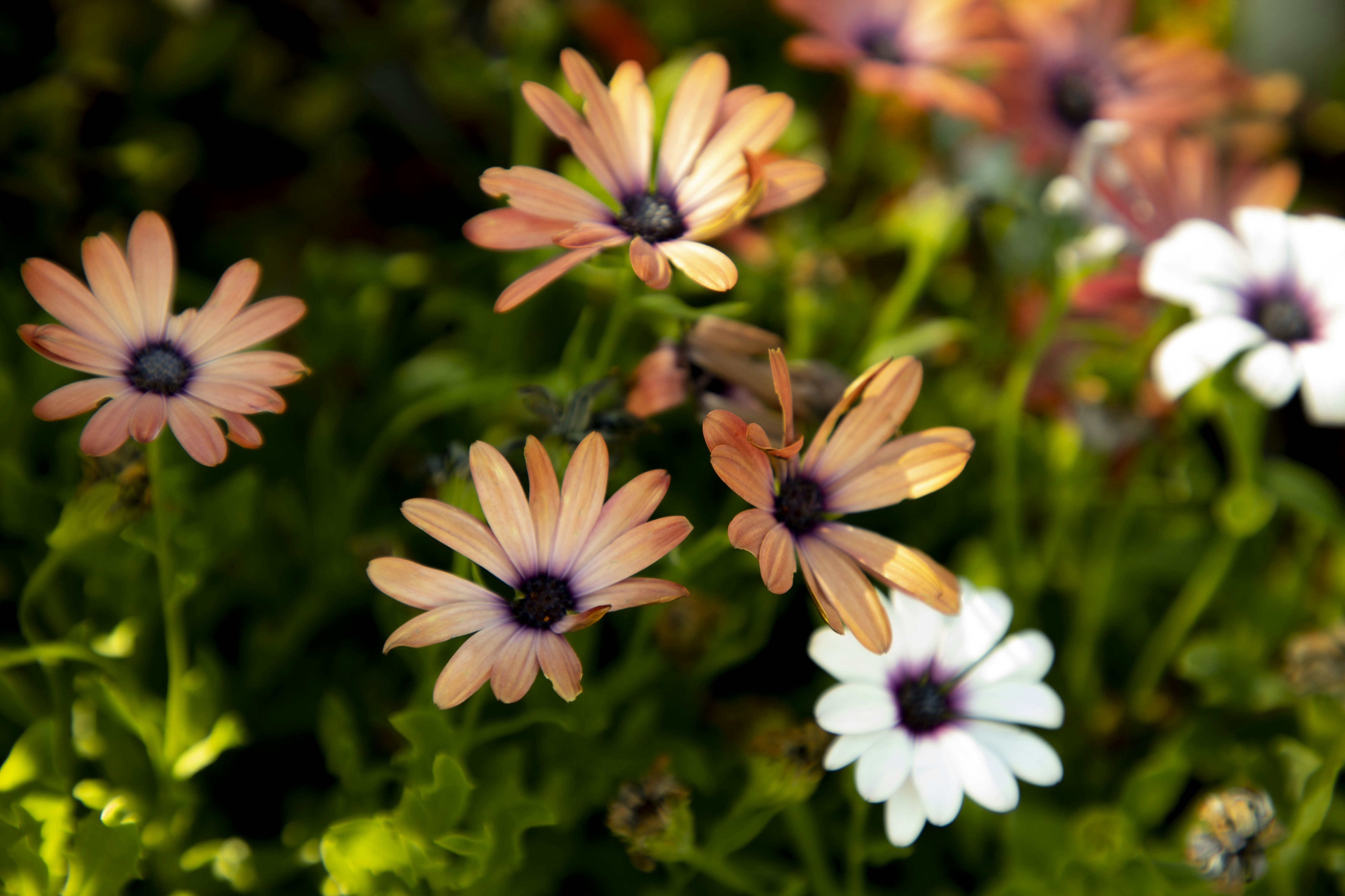 Photo by vicphotos99