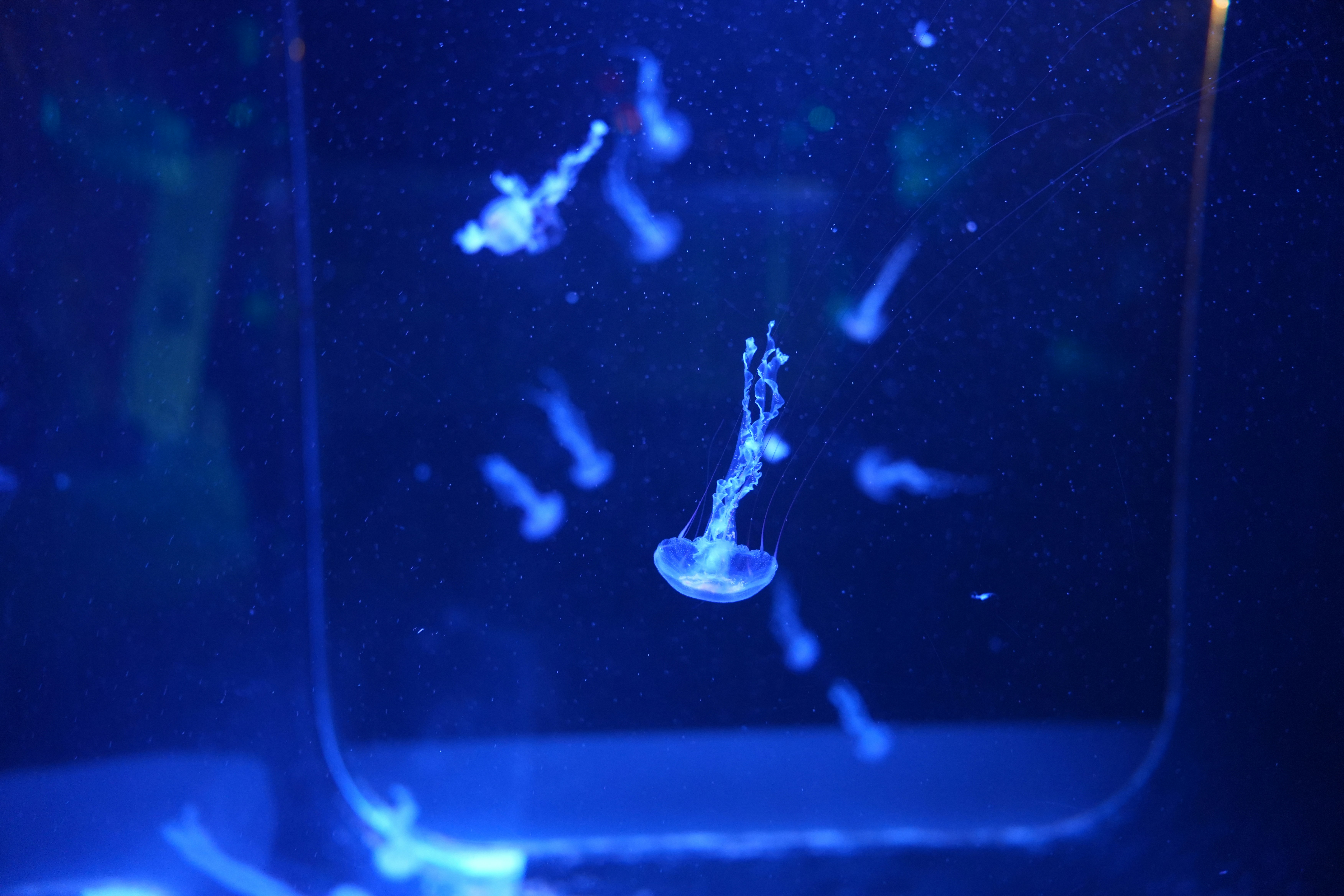 A close up of a glass with water in it