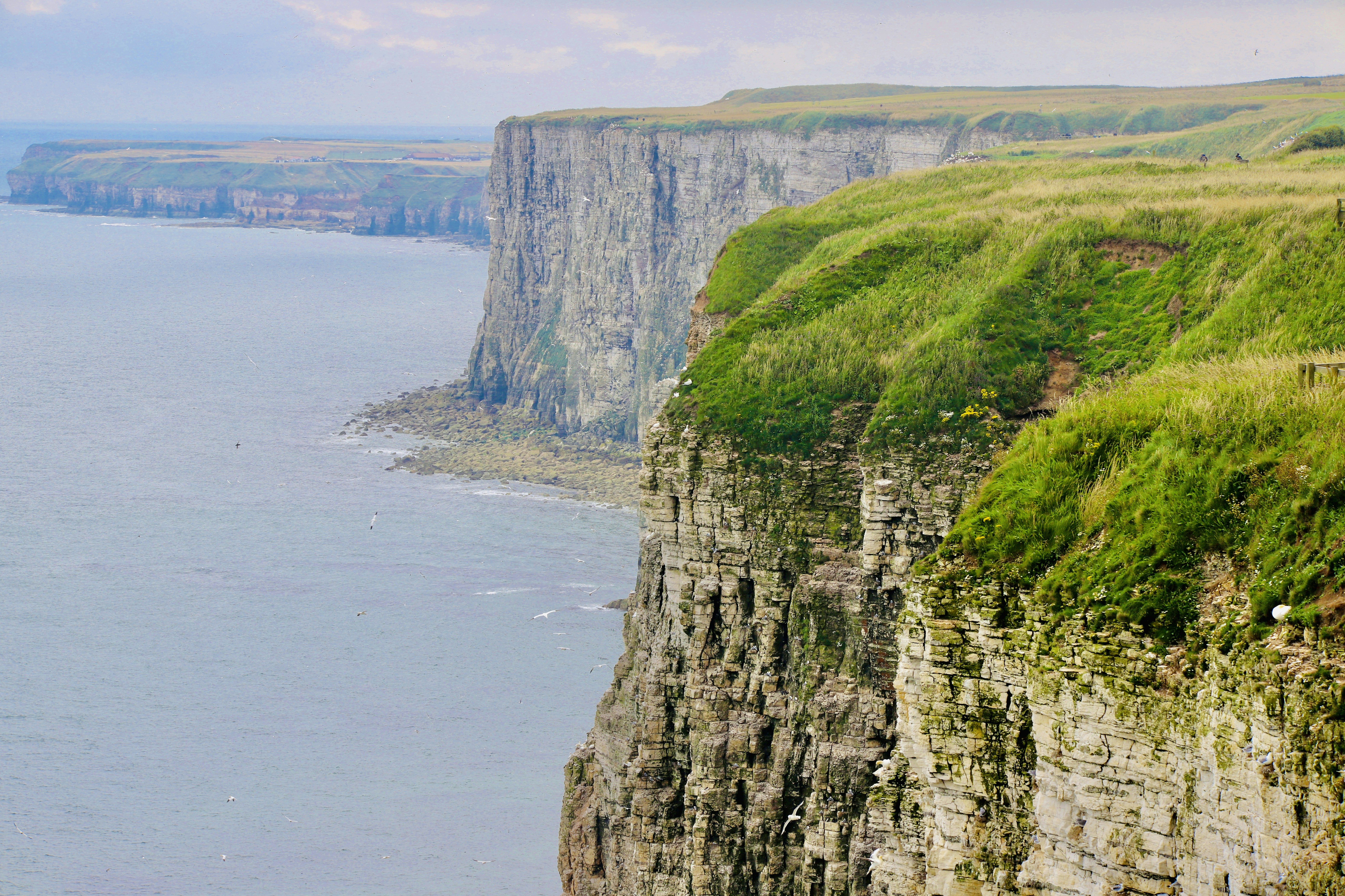 Photo by puffinadventures