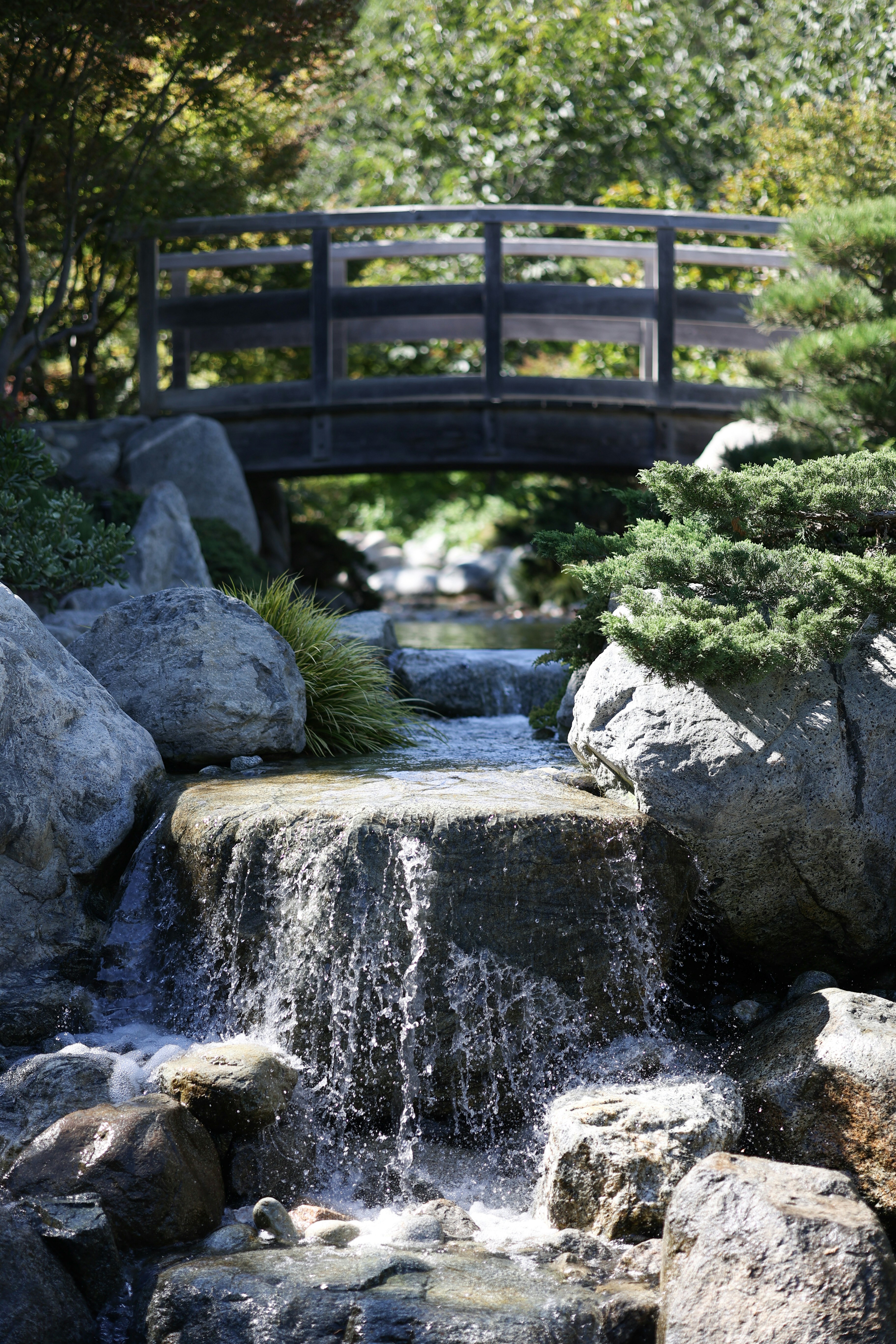 Photo by isaiahckline