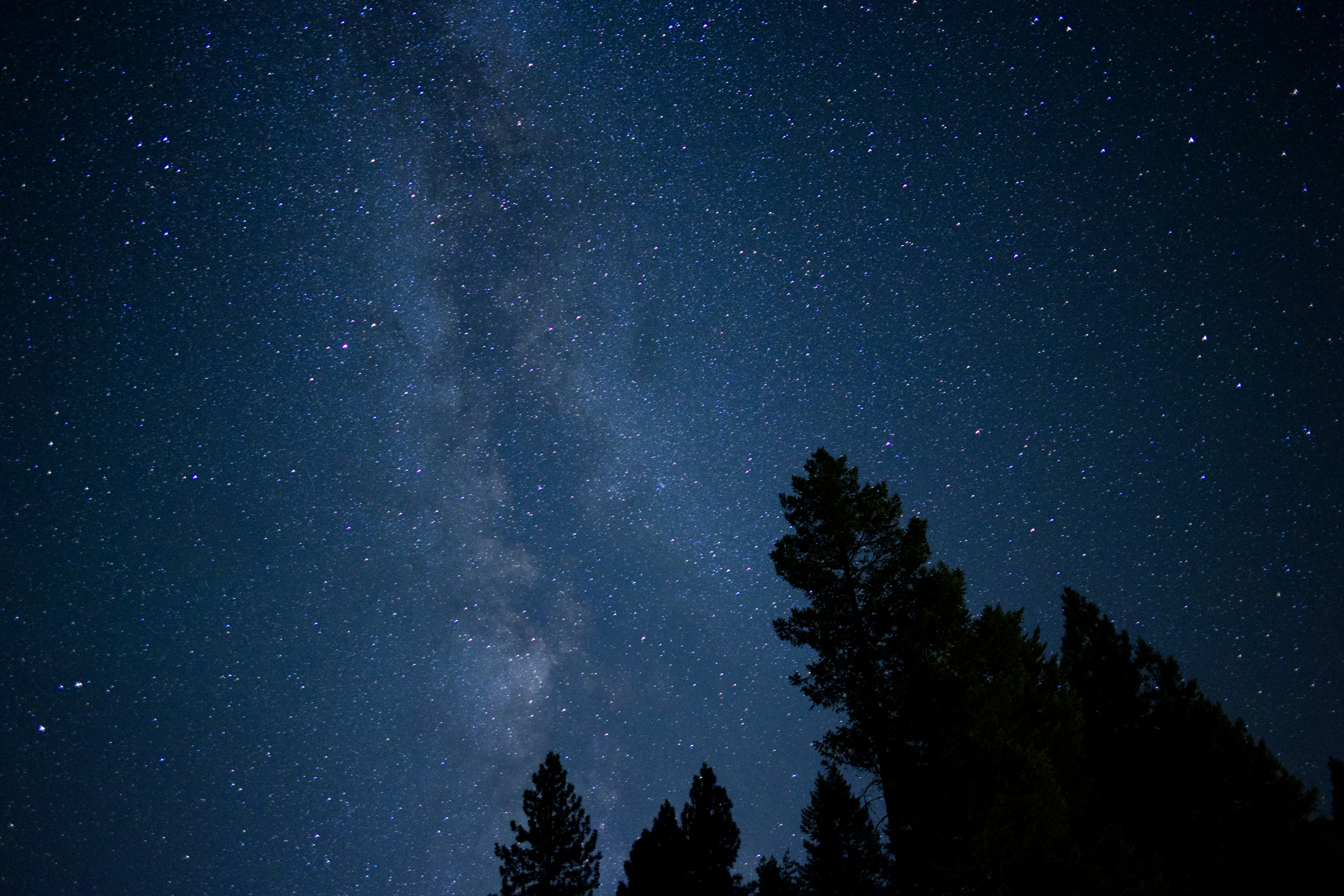 Photo by city2forest