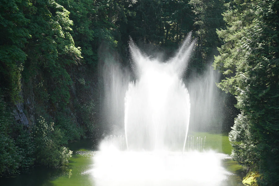 A quiet fountain surrounded by trees