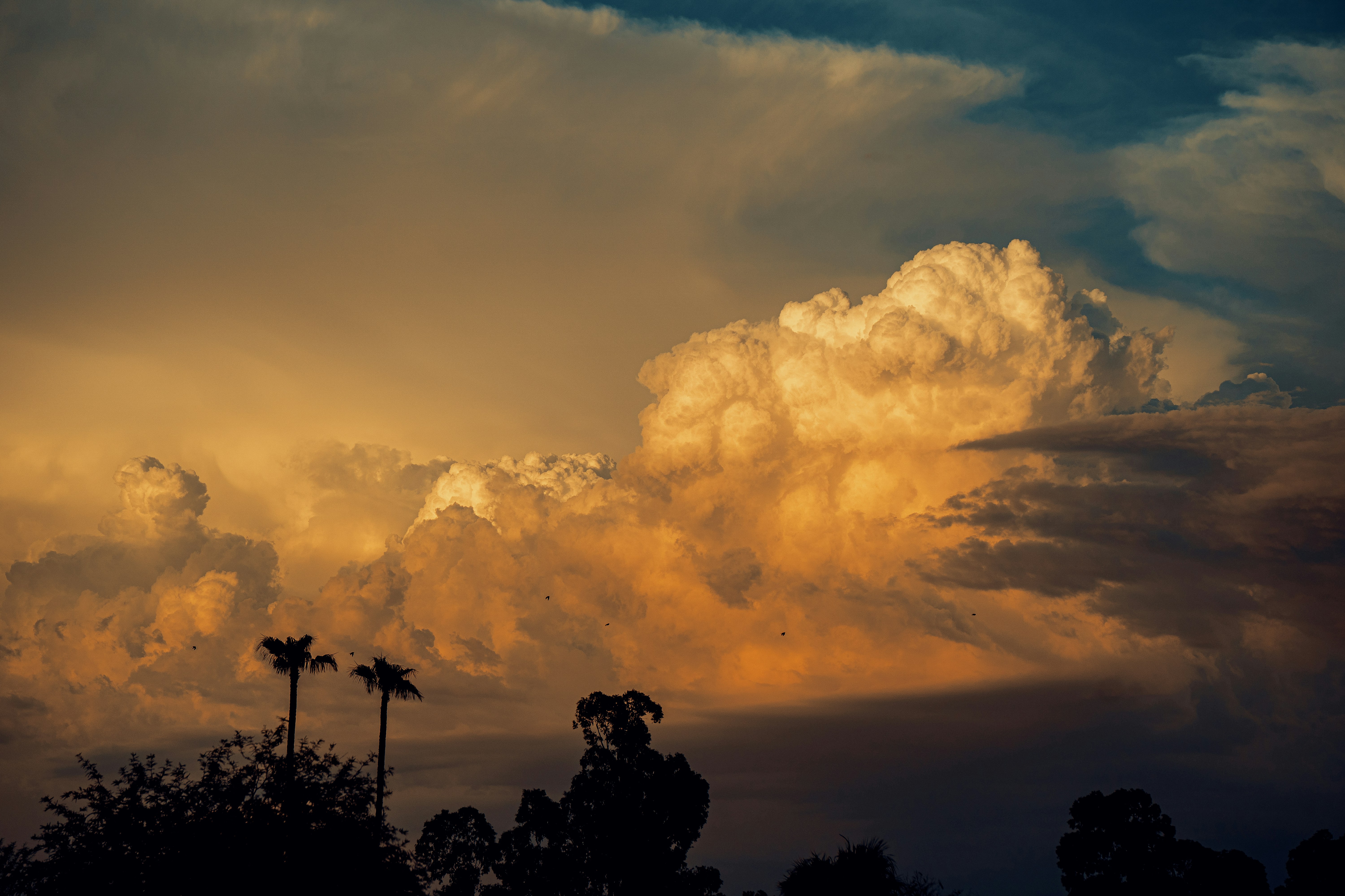 Photo by itstarynnnn