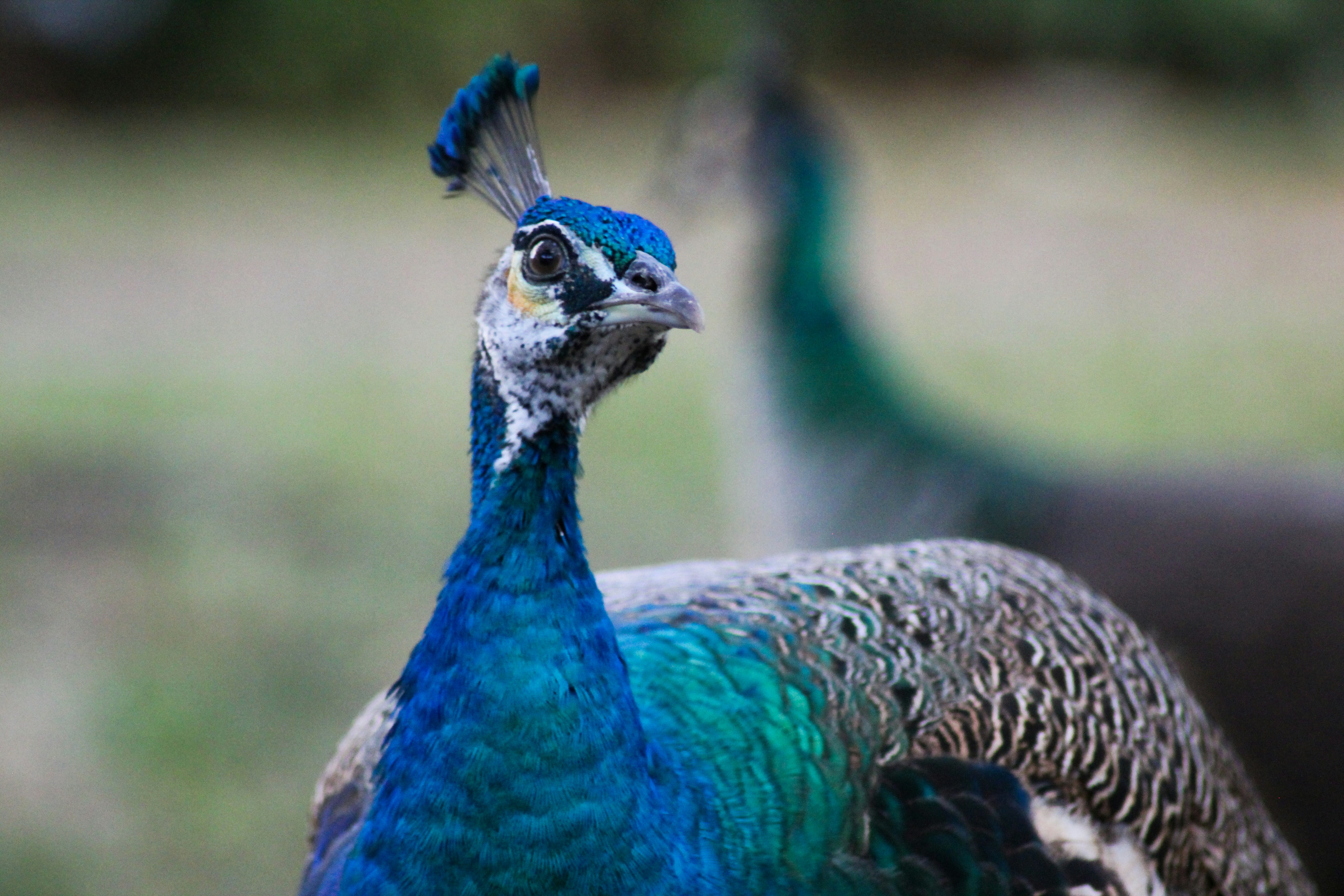 Photo by alexnetomiami