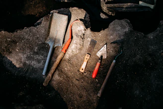 Tools are laying out on a piece of wood