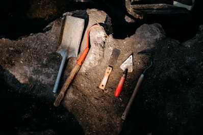 Tools are laying out on a piece of wood