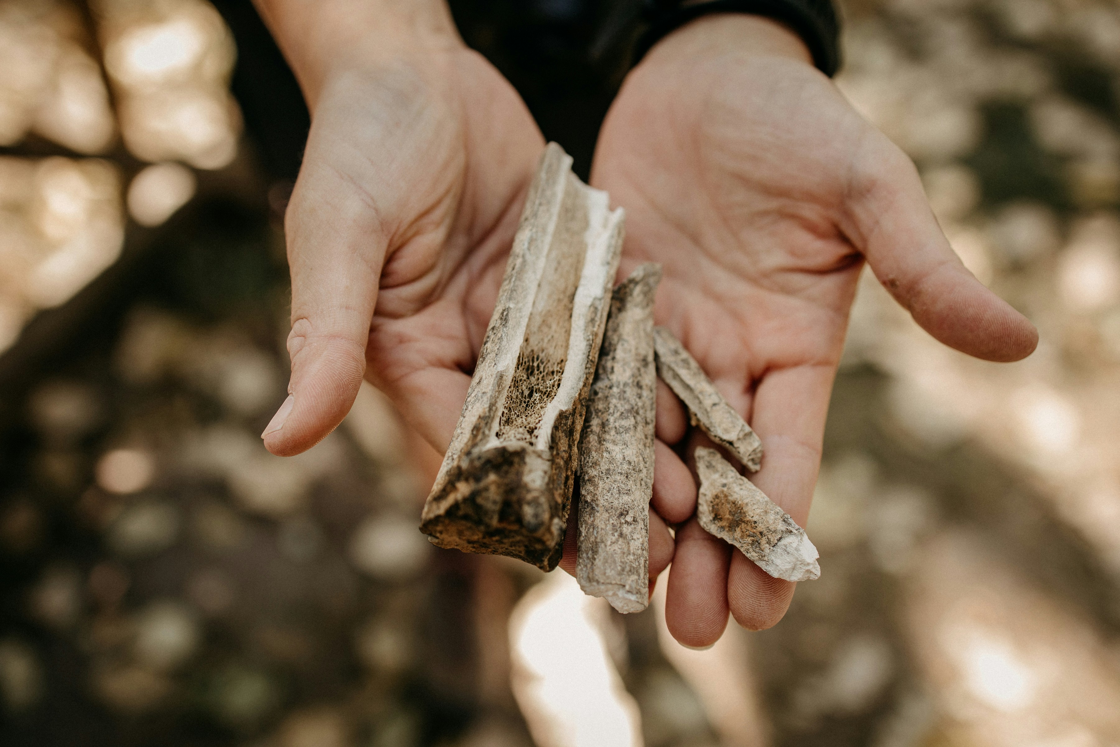 Eine Person, die ein Stück Brot in der Hand hält