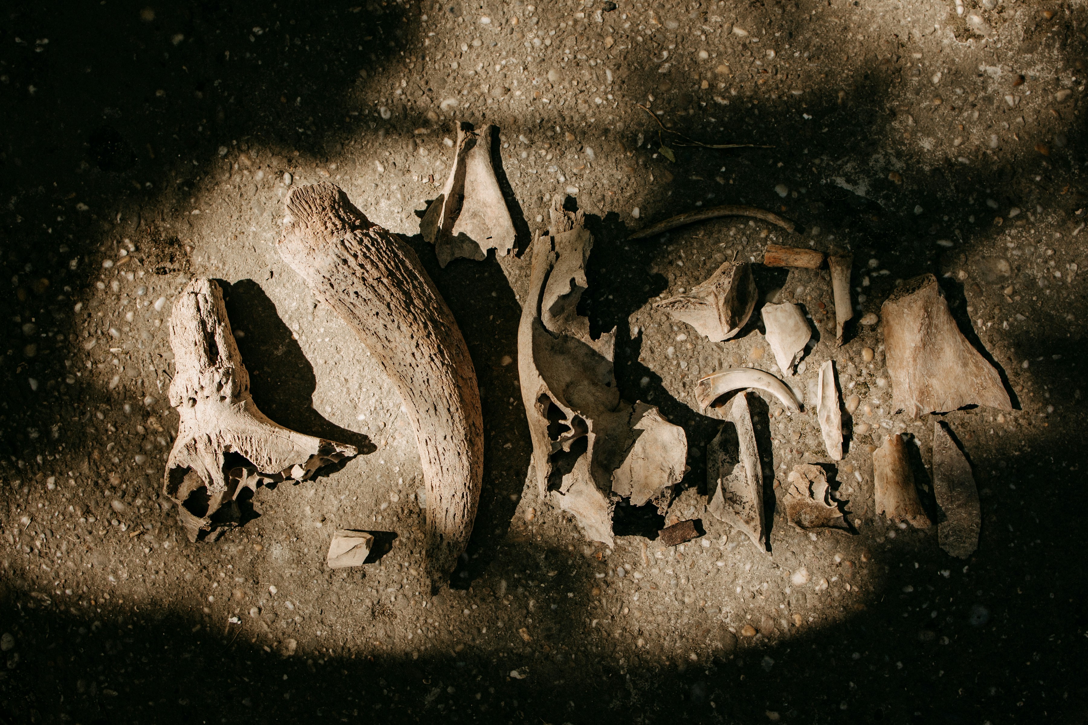 Nahaufnahme eines kaputten Schuhs auf dem Boden