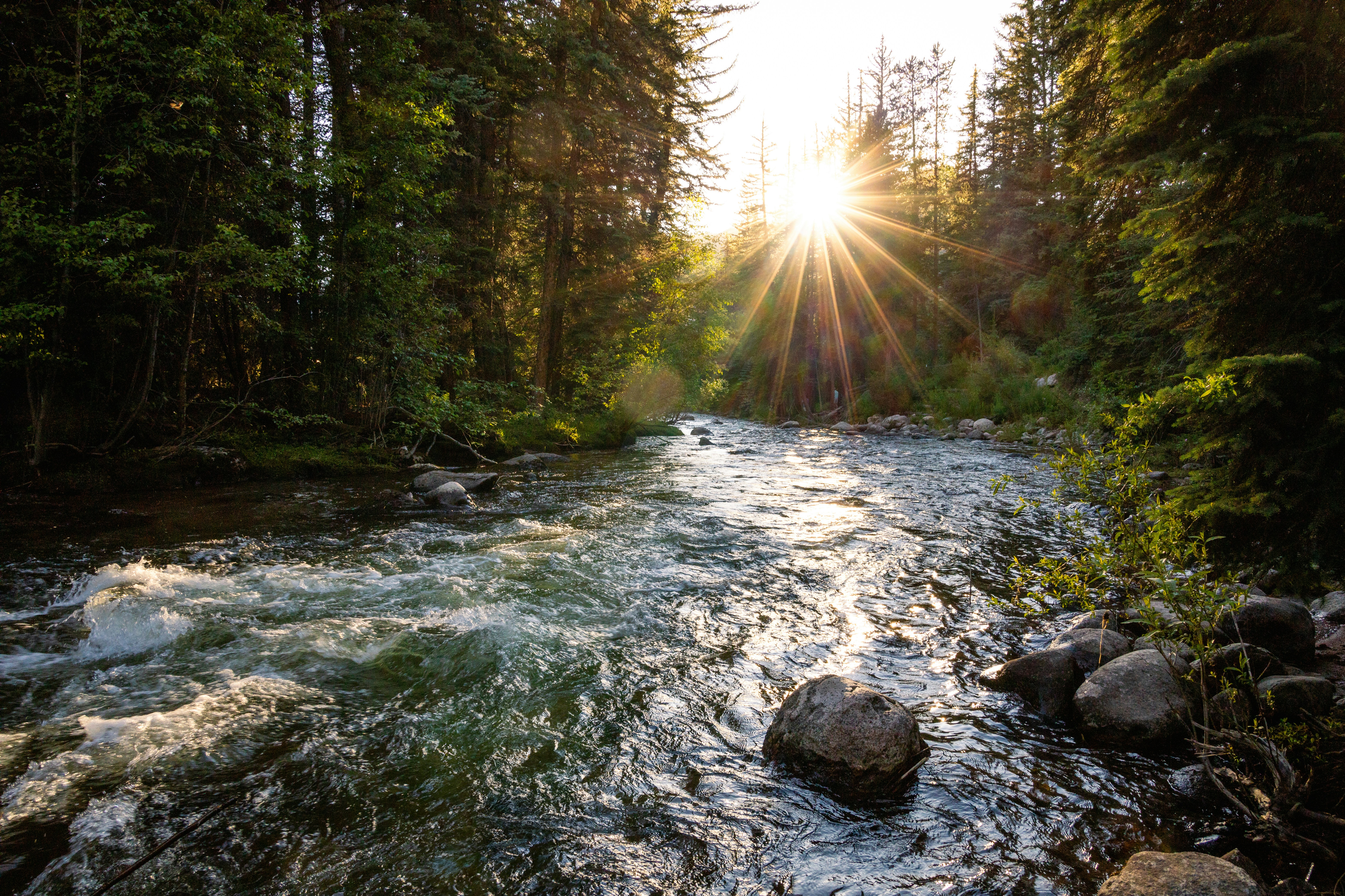 자영업자 근로 장려금 신청 방법: 기초부터 시작하기