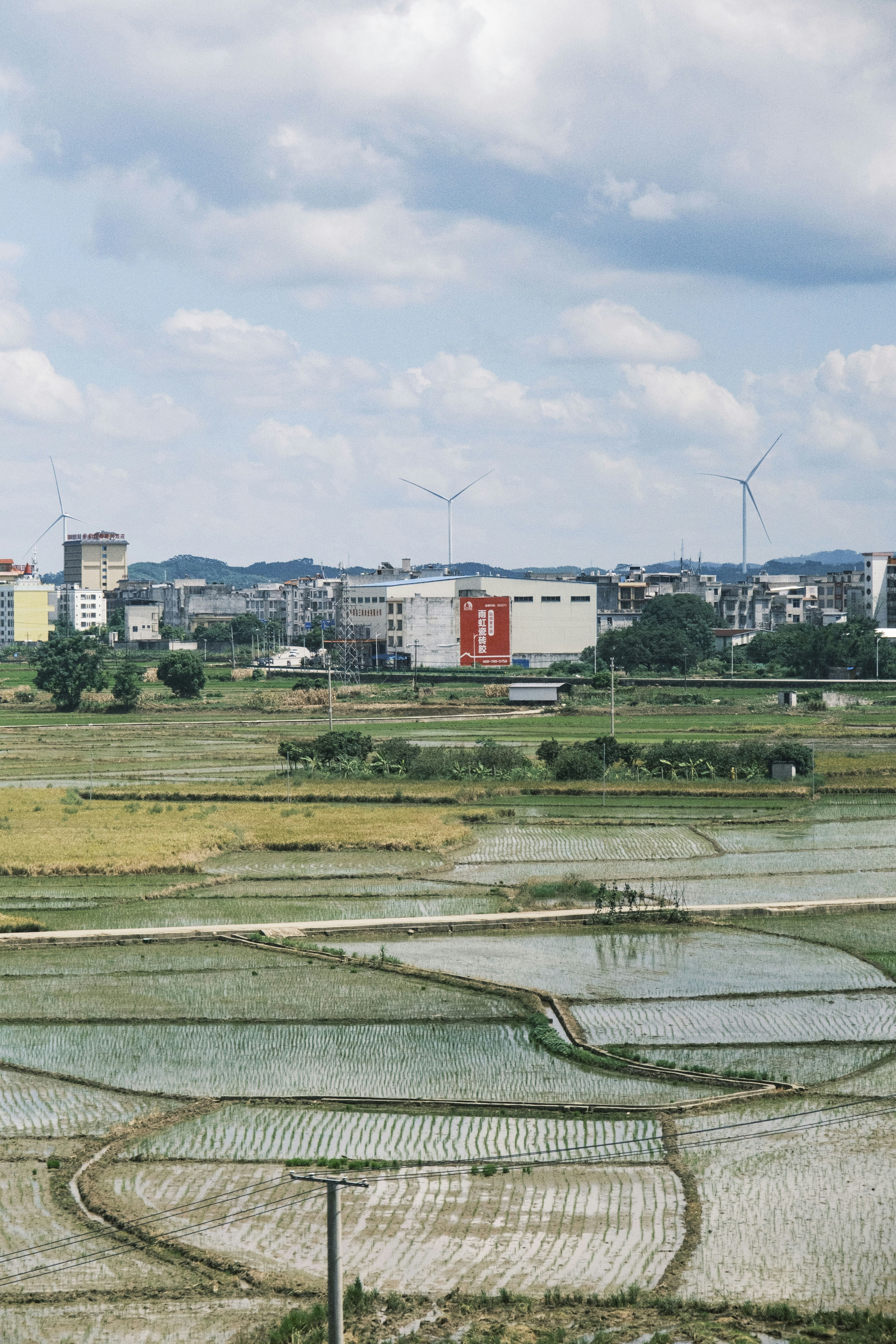 Photo by samuelwu