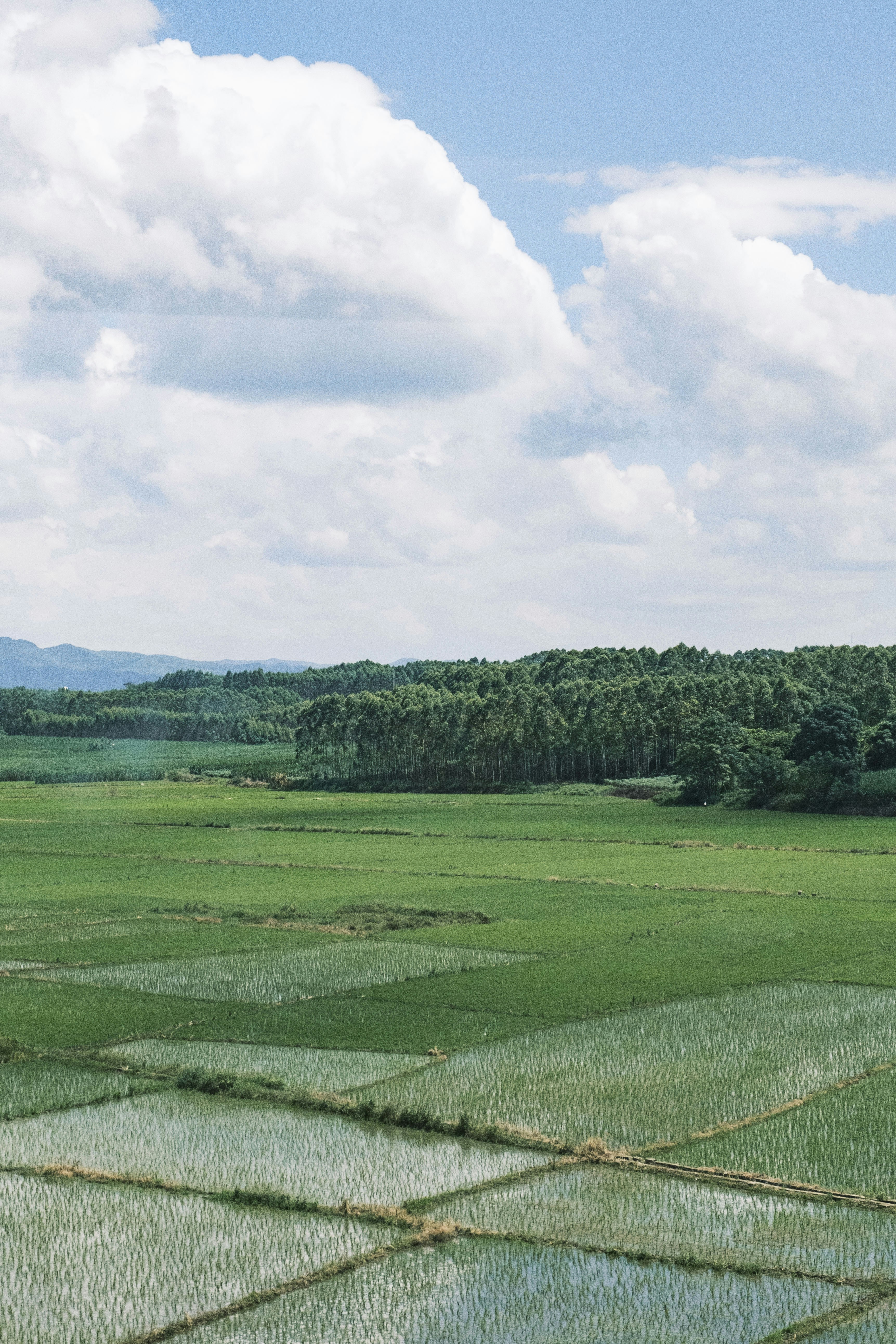 Photo by samuelwu