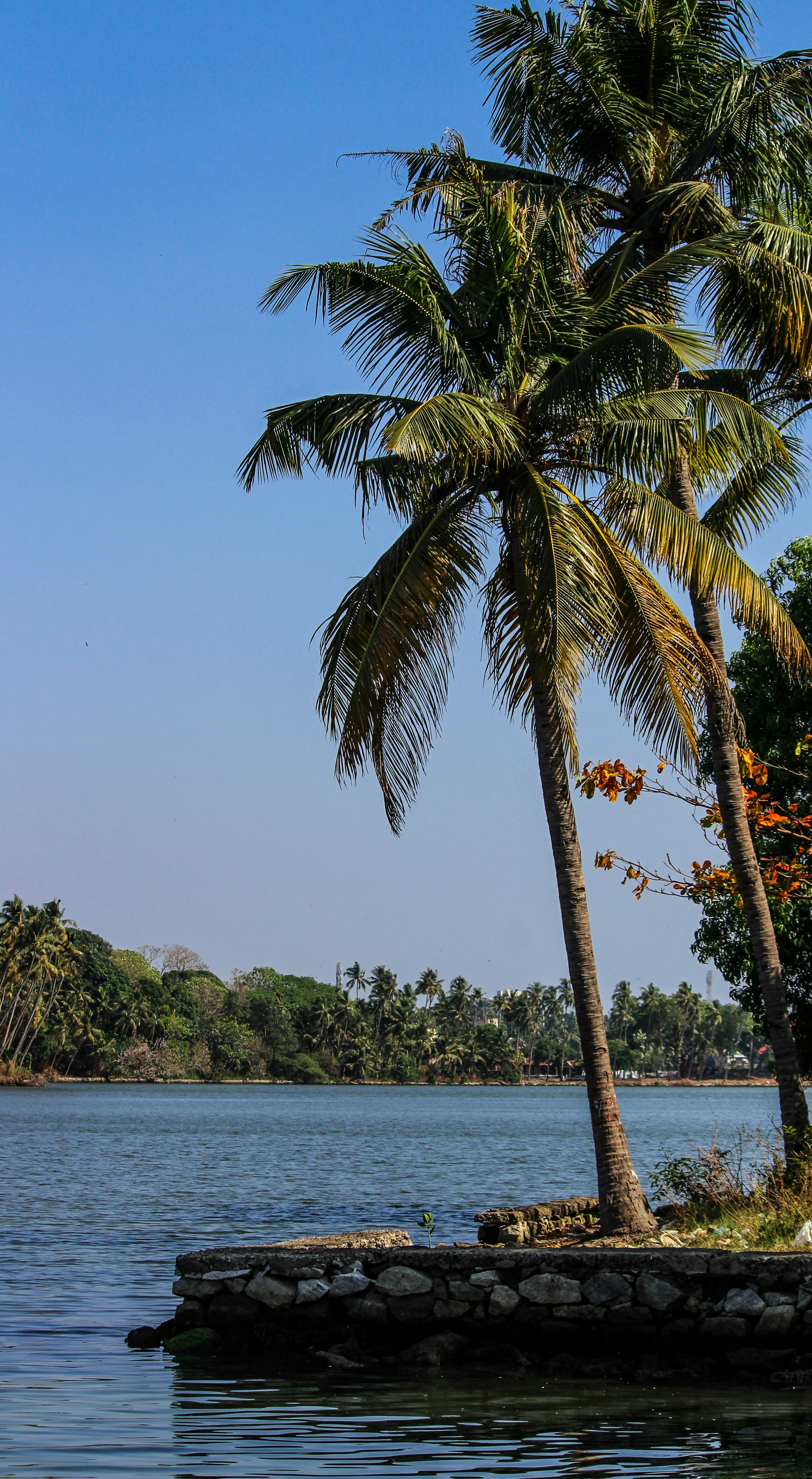 Photo by aditya_sethia_97