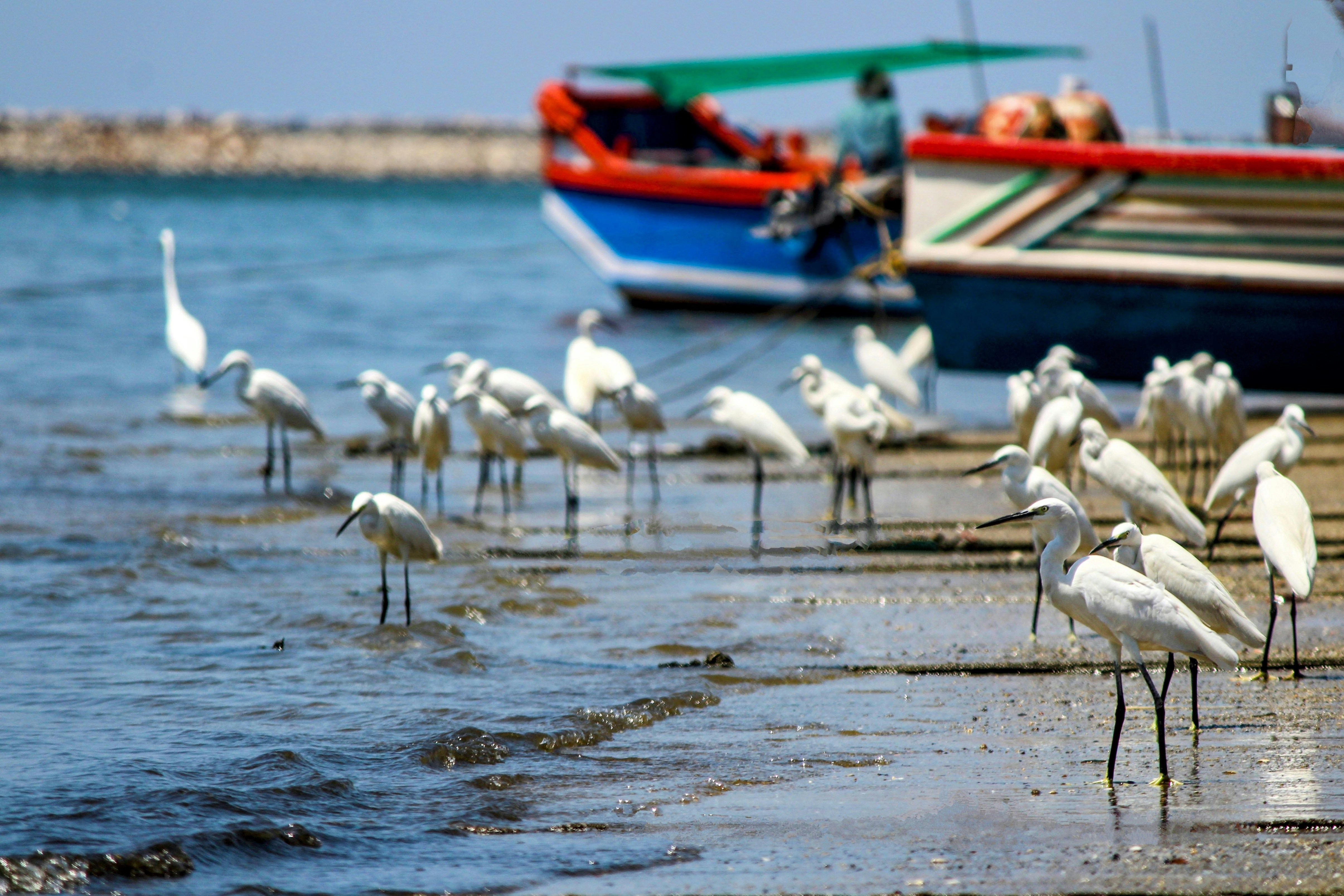 Photo by aditya_sethia_97