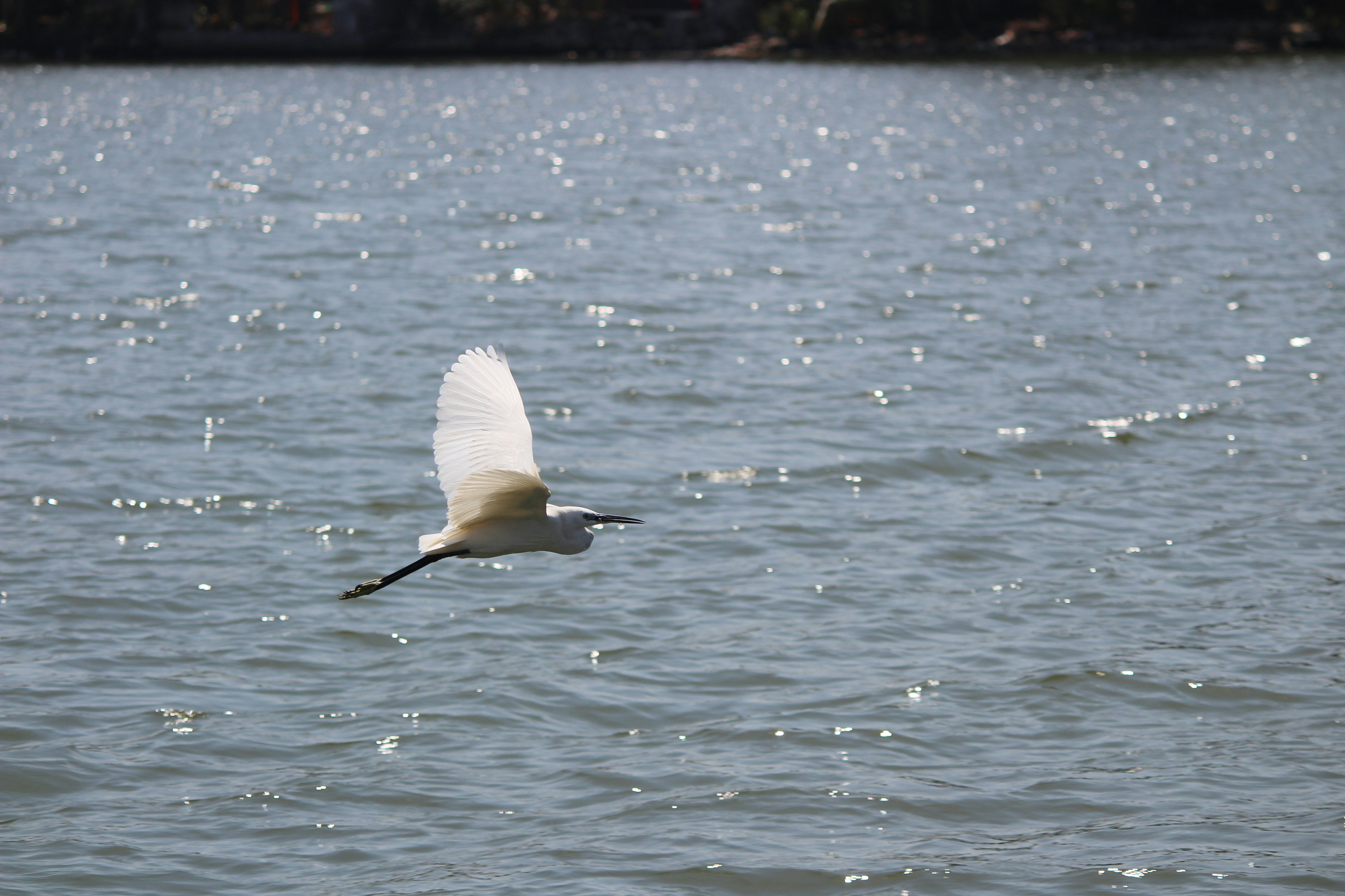 Photo by aditya_sethia_97