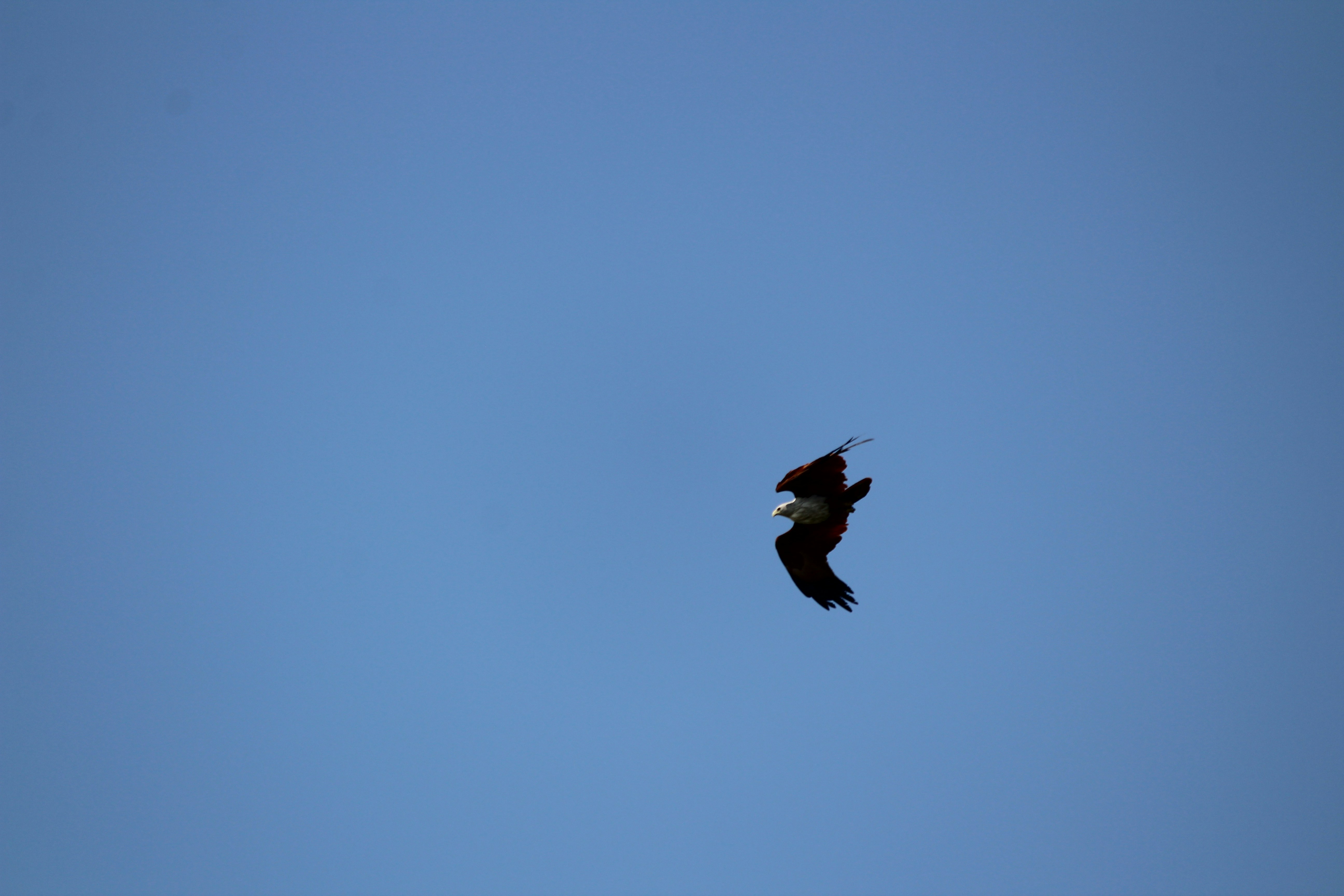 Photo by aditya_sethia_97