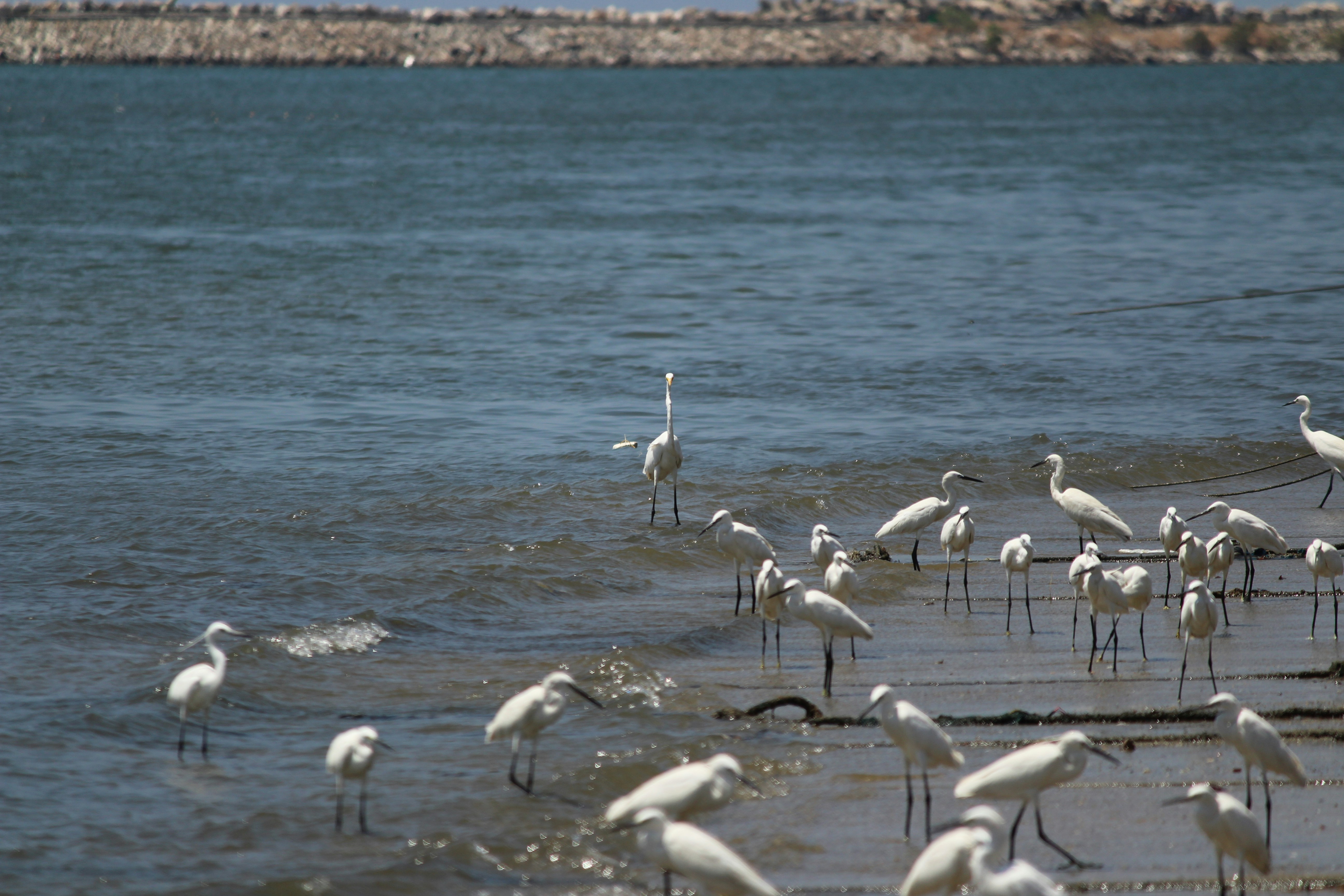 Photo by aditya_sethia_97