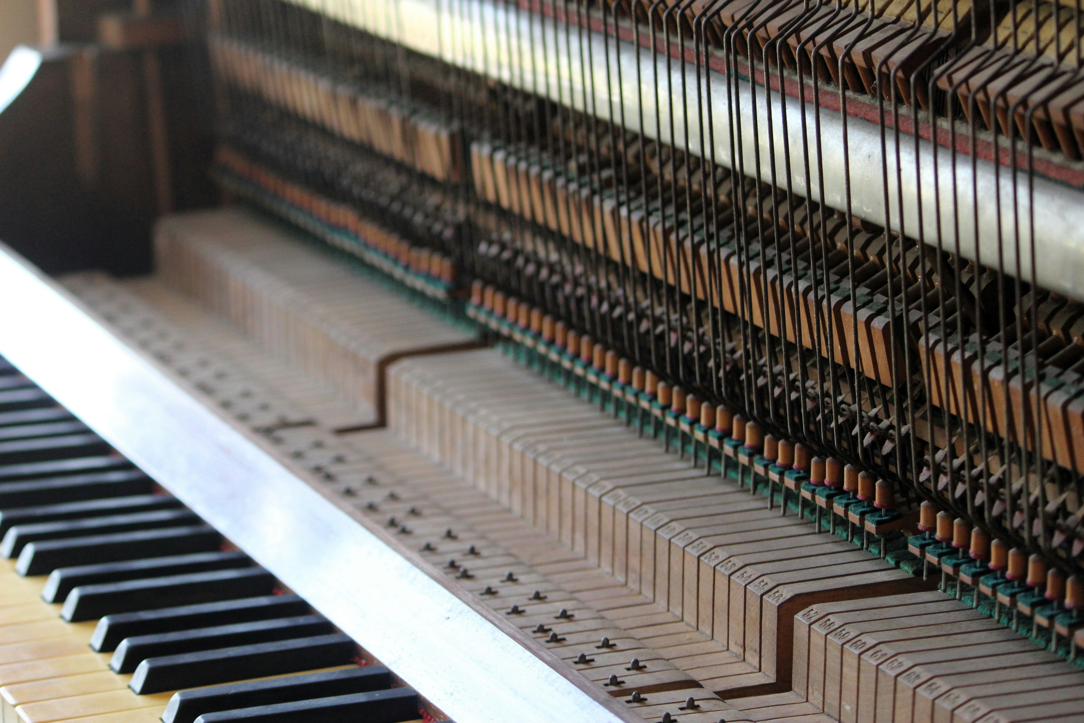 깃 리포지토리의 동작 방식 이해하기