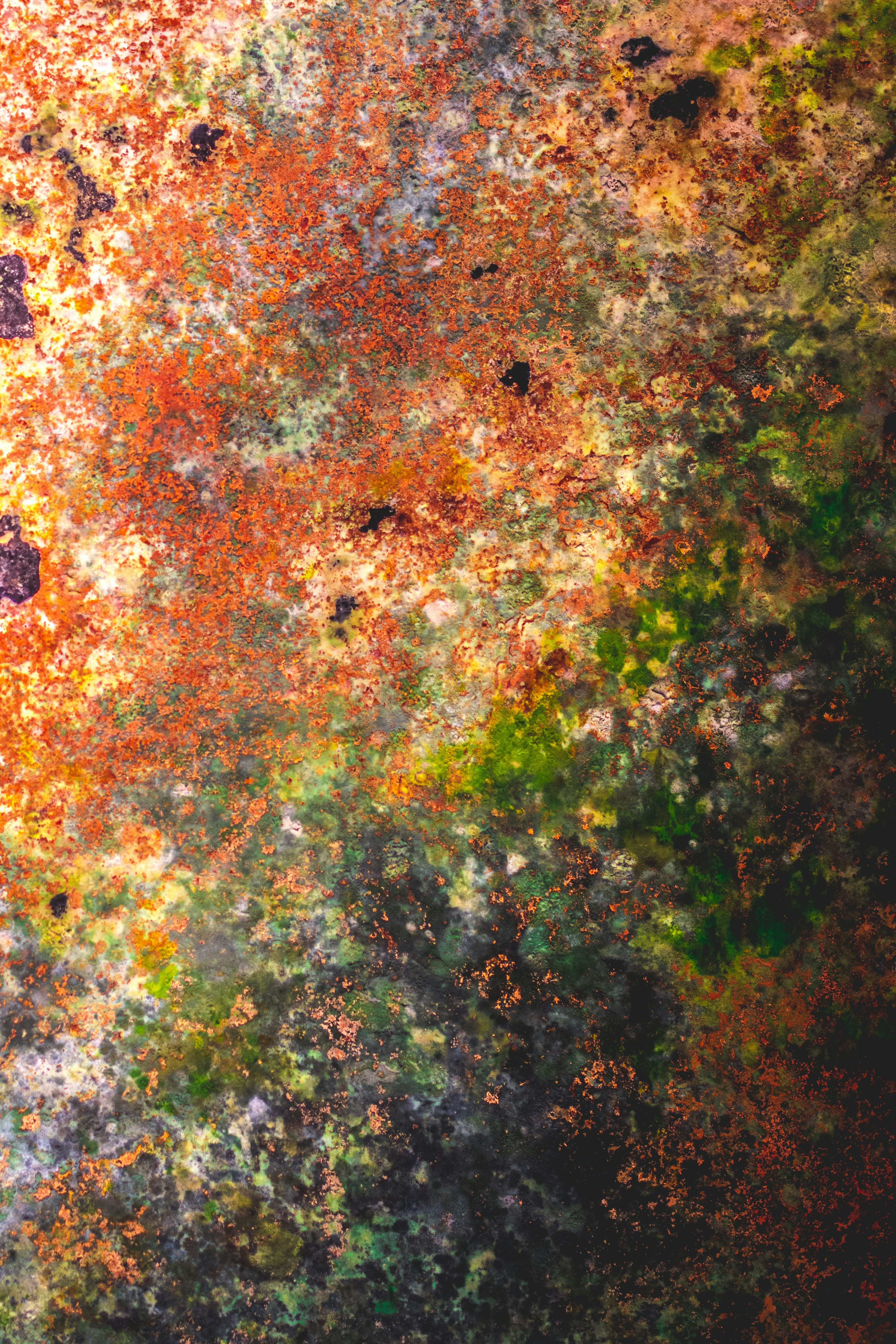 Photo by sentimaprinco