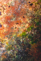 A painting of a tree with lots of leaves on it
