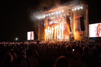 A large crowd of people at a concert