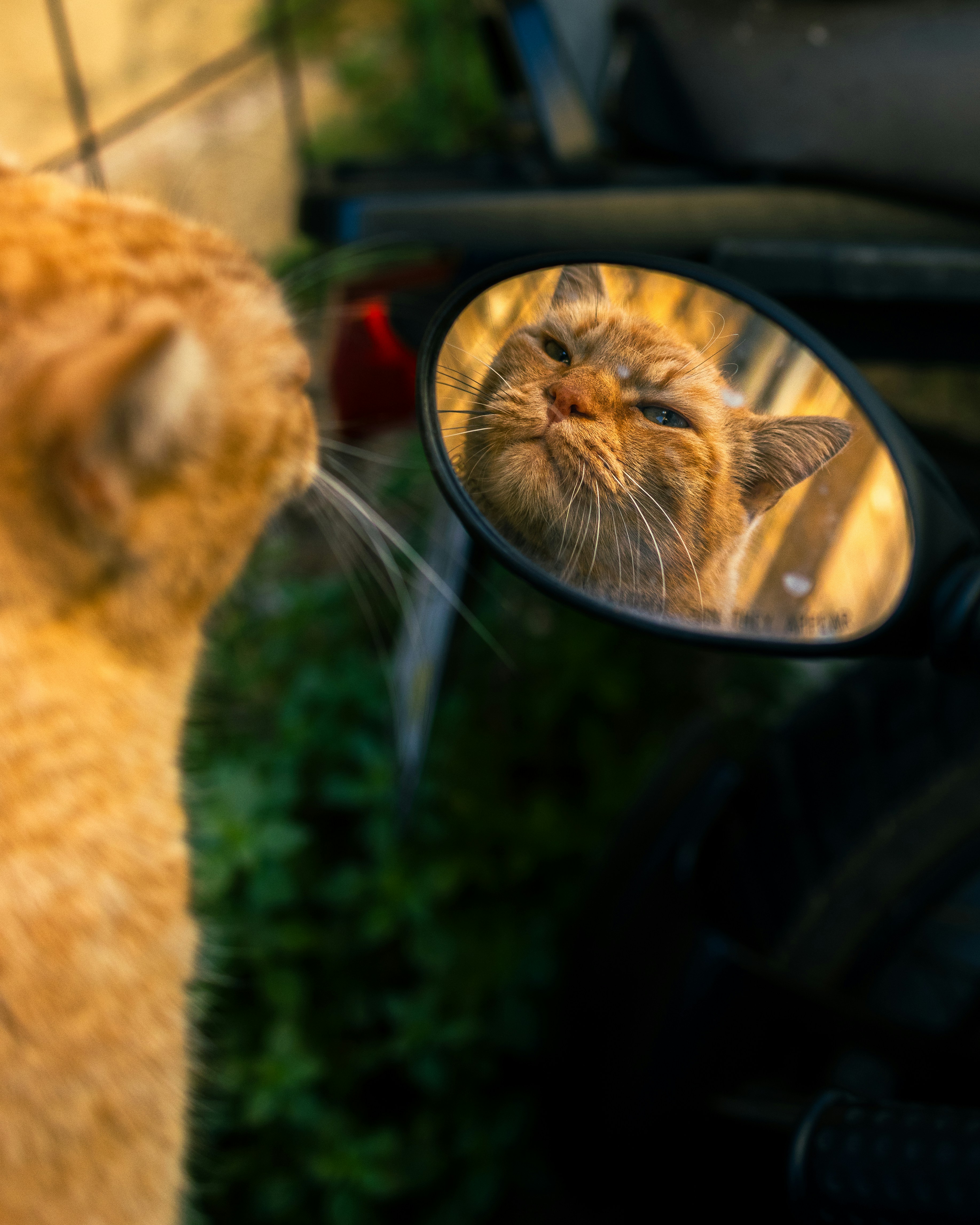 The Disapproving Glance (image credits: unsplash)