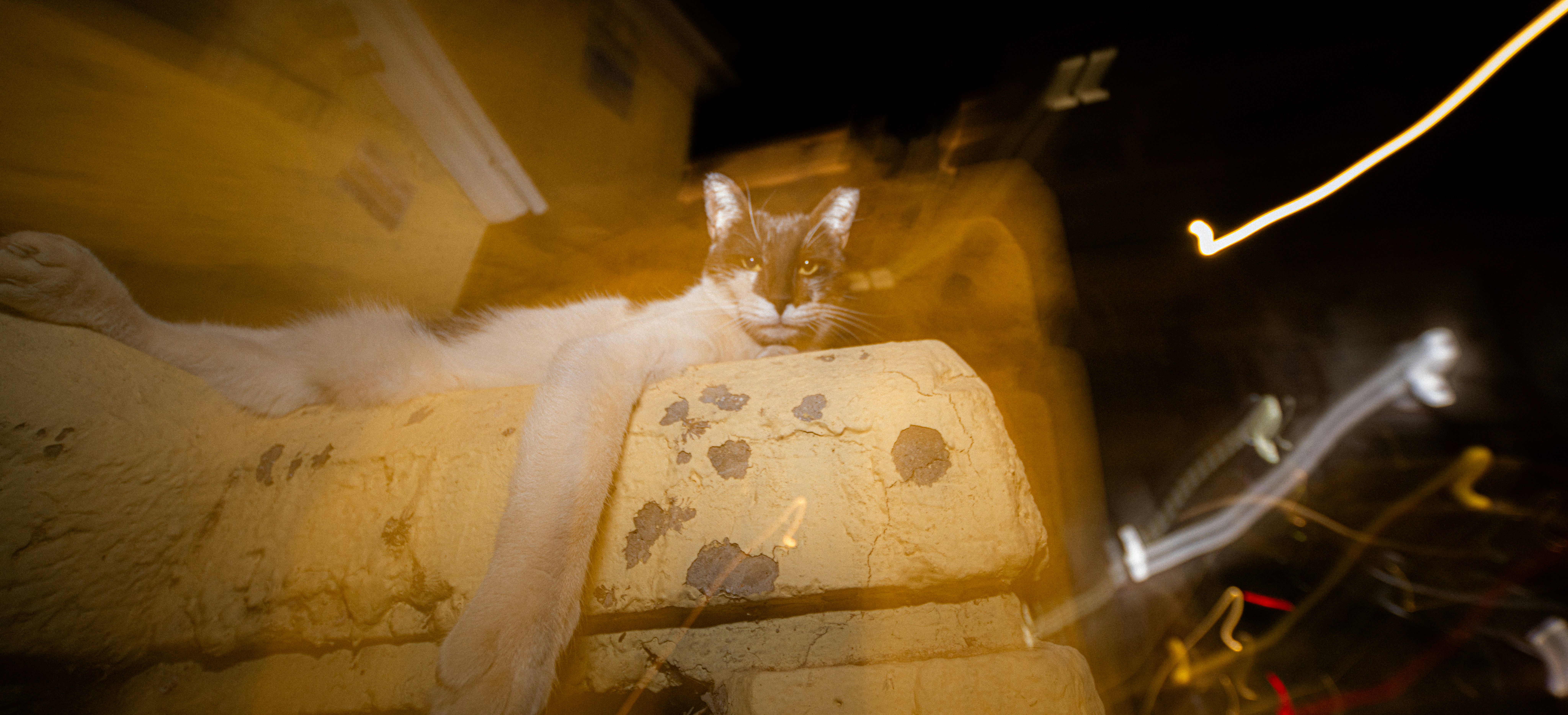 A blurry photo of a fire hydrant at night, 