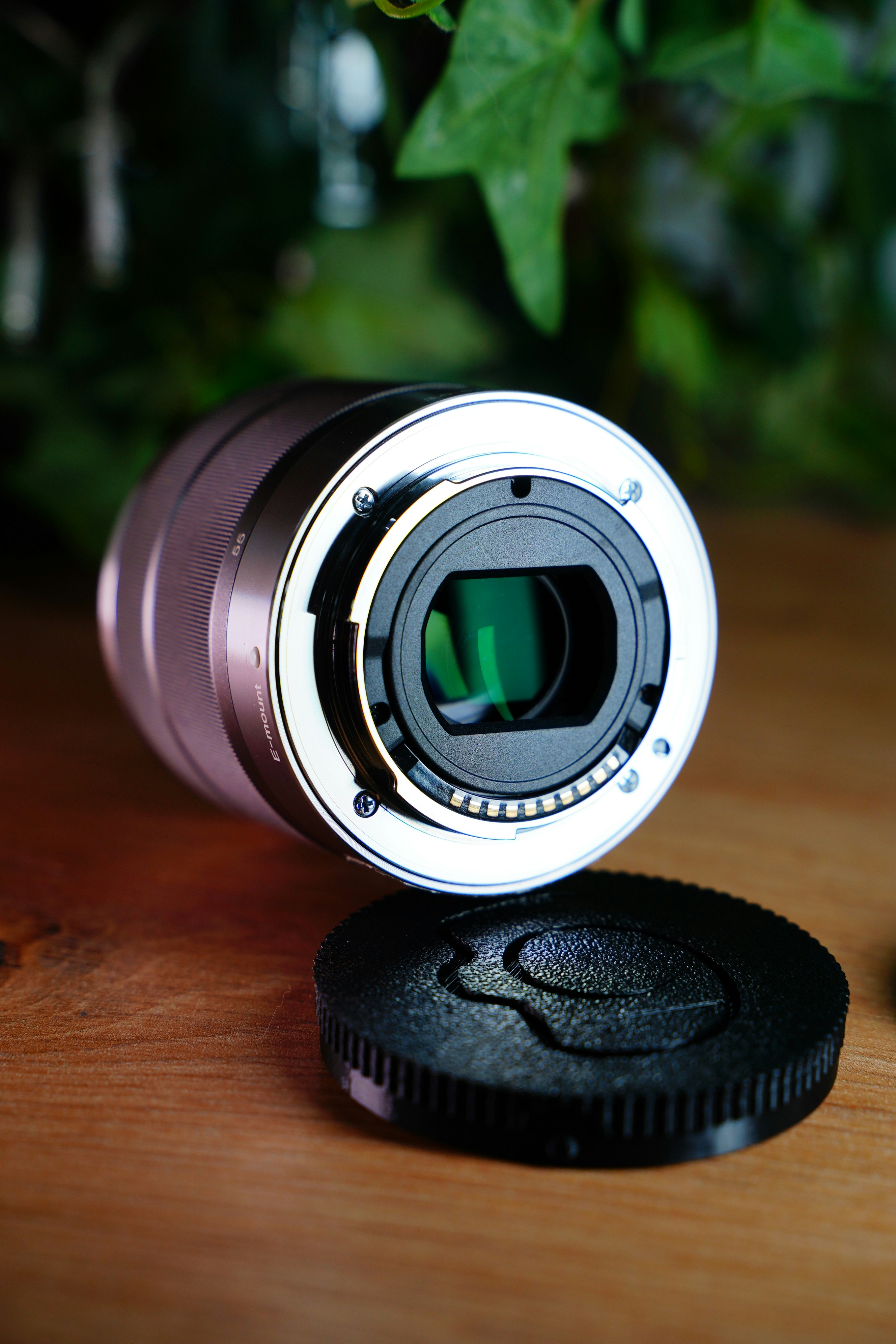 Photo by jerrografie